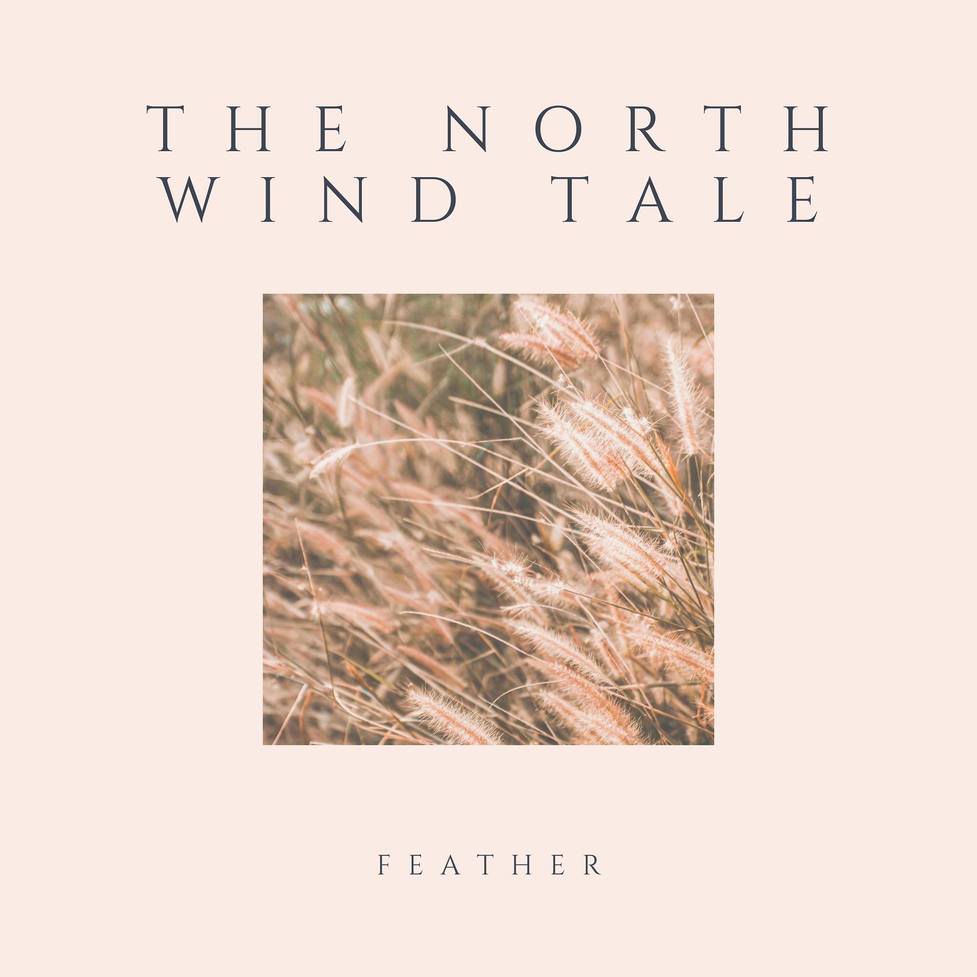 Постер альбома The North Wind Tale