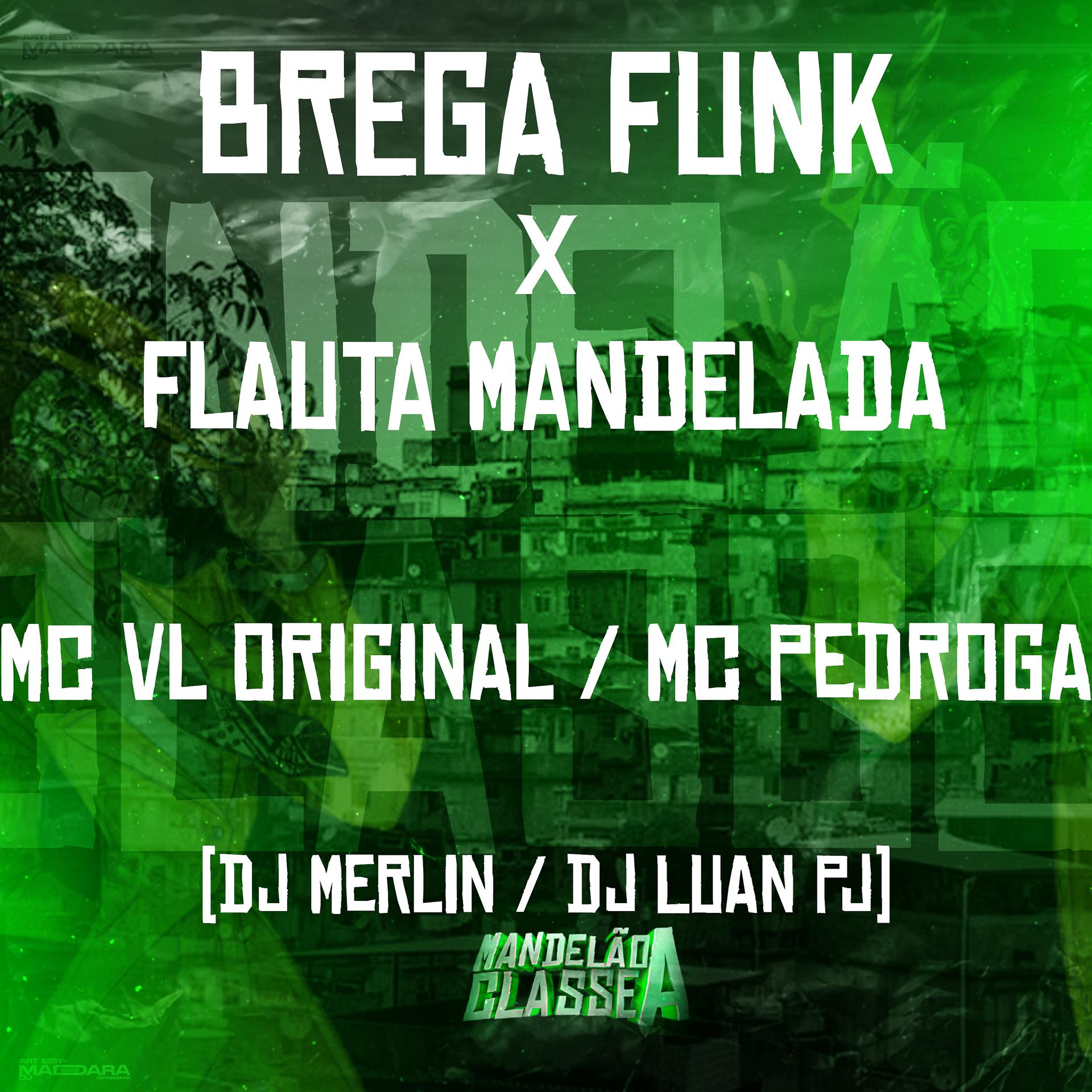 Постер альбома Brega Funk X Flauta Mandelada