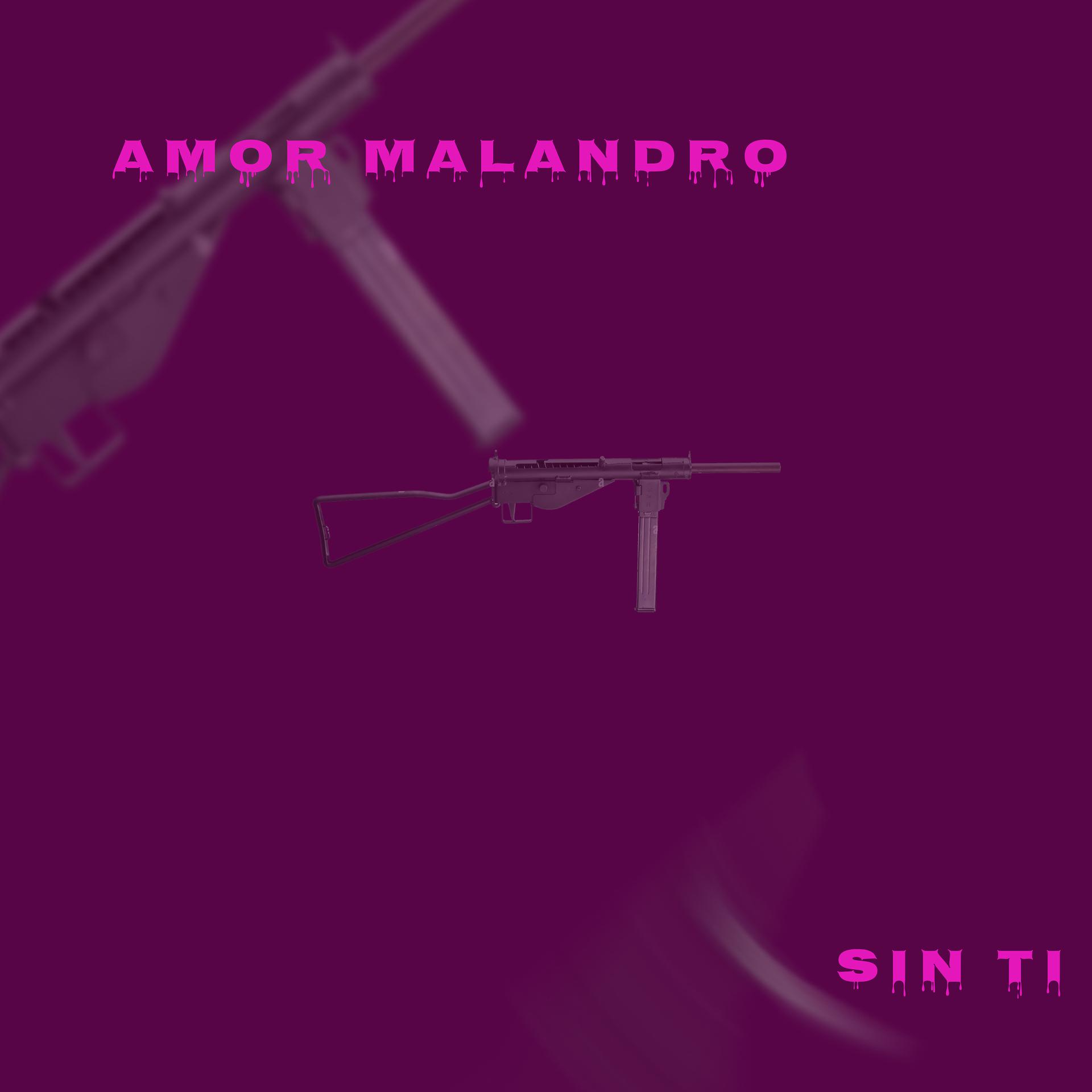 Постер альбома Amor Malandro / Sin Ti