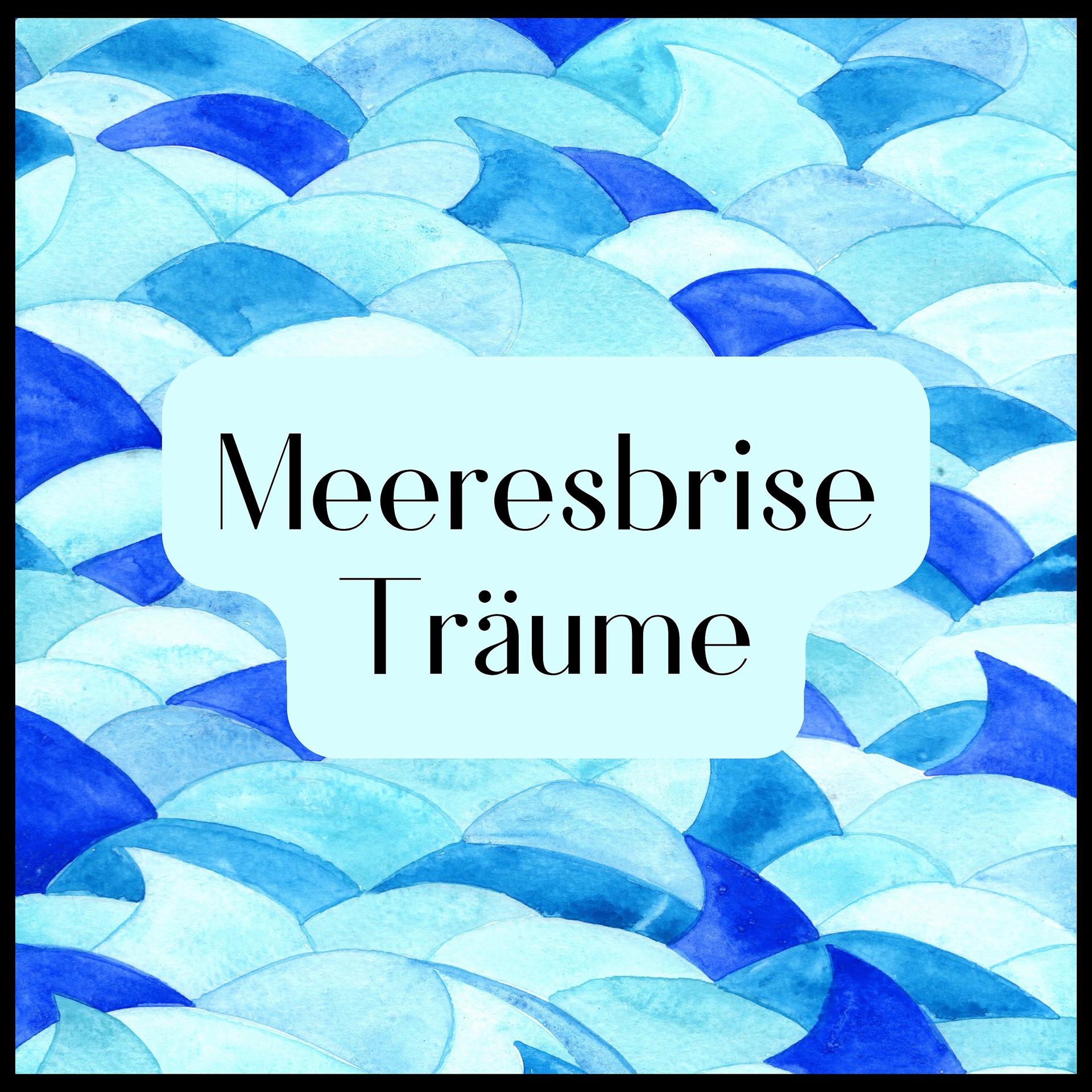 Постер альбома Meeresbrise Träume