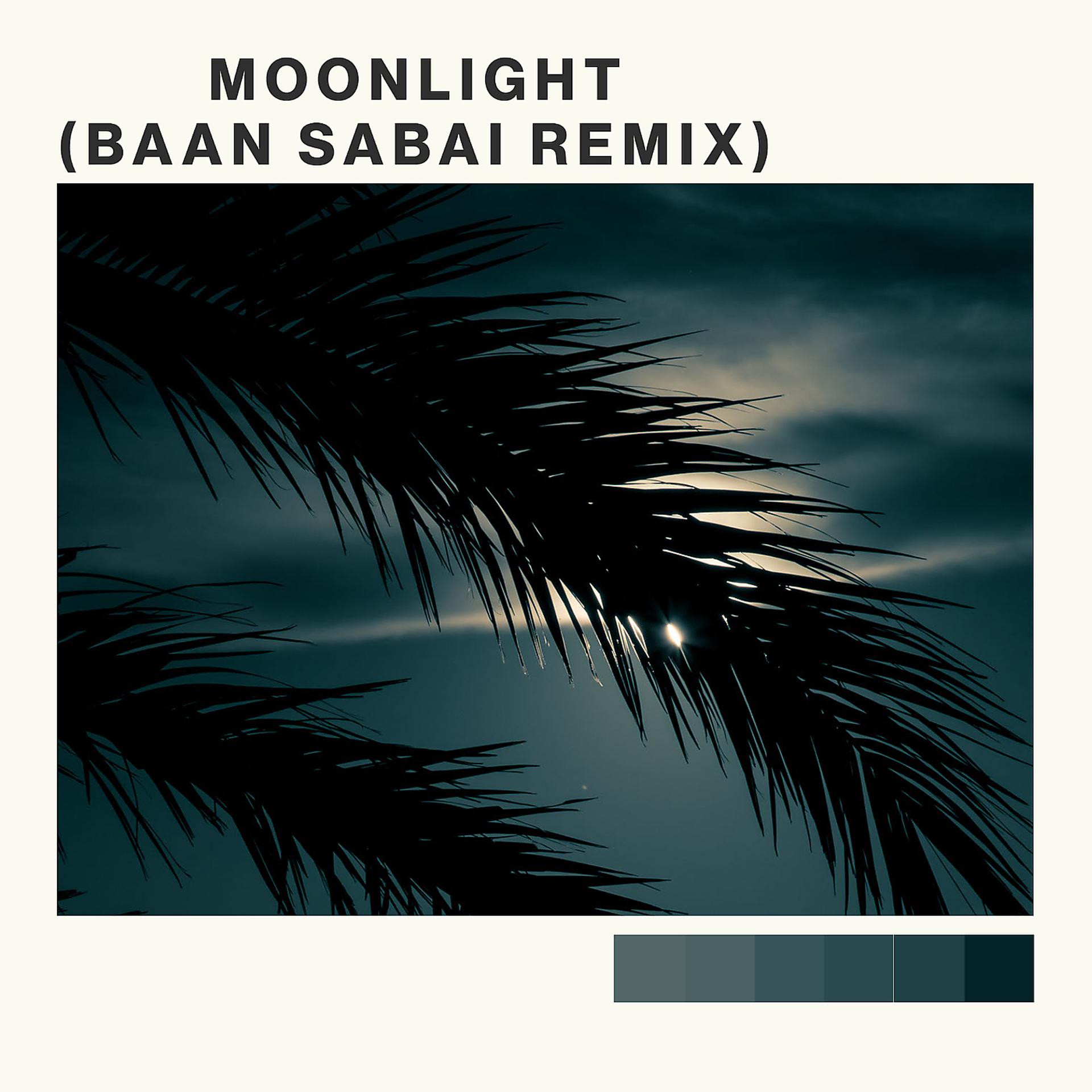 Постер альбома Moonlight (Baan Sabai Remix)
