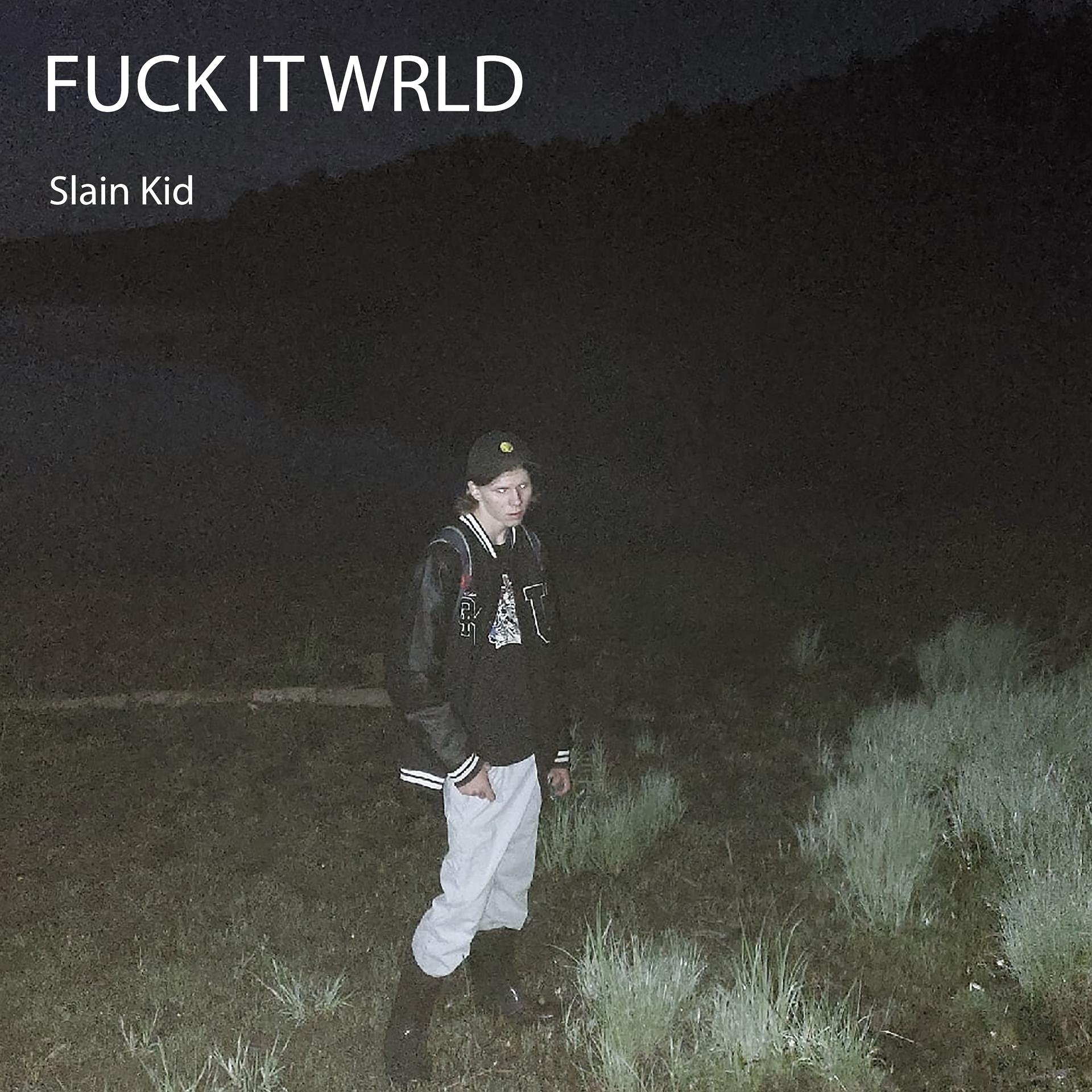 Постер альбома Fuck It Wrld