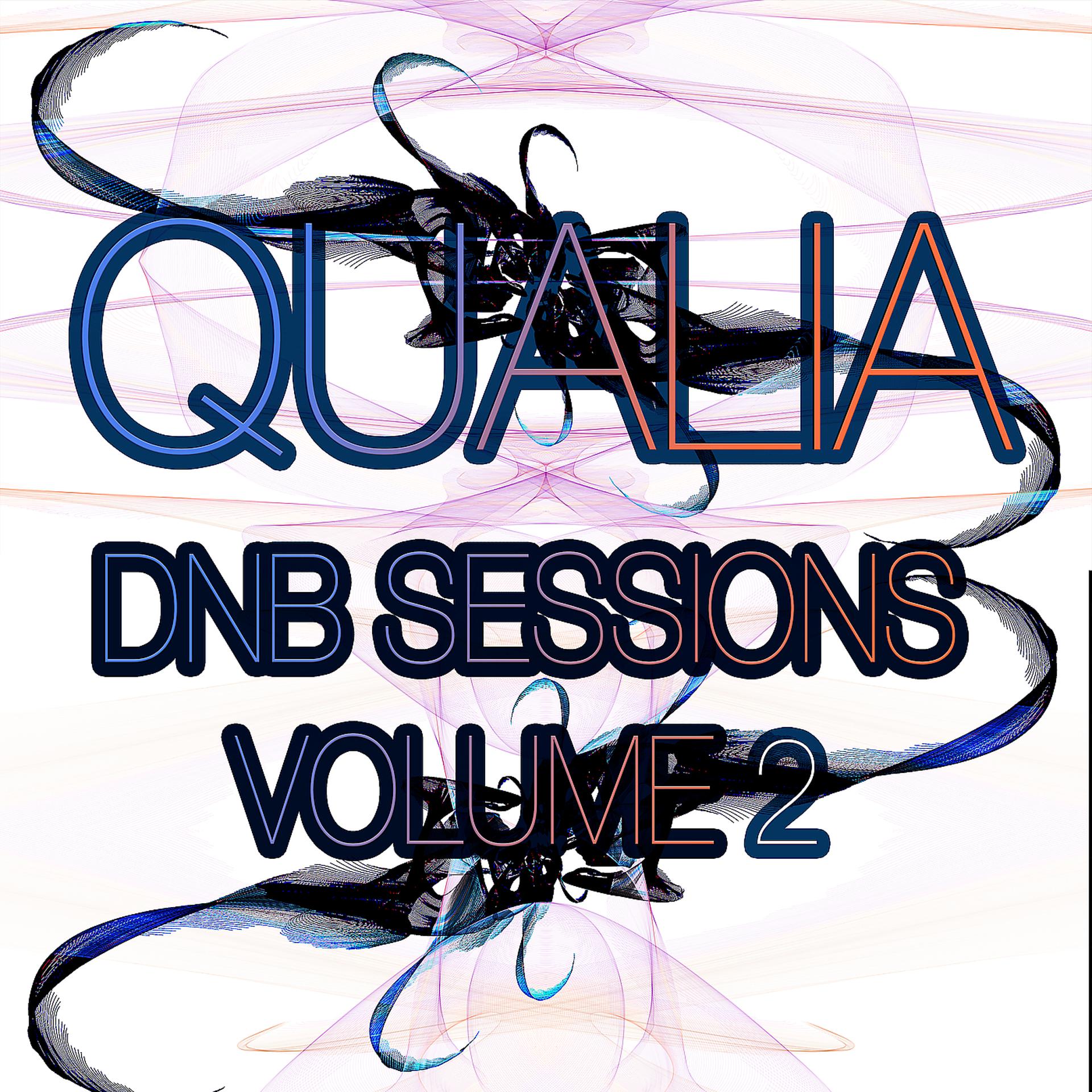 Постер альбома Dnb Sessions, Vol. 2