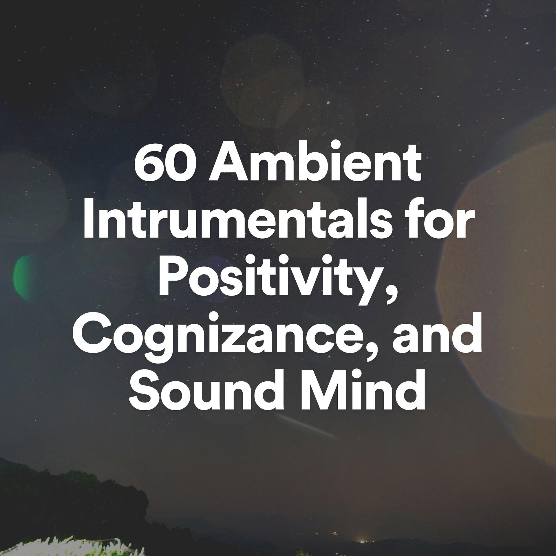Постер альбома 60 Ambient Intrumentals for Positivity, Cognizance, and Sound Mind
