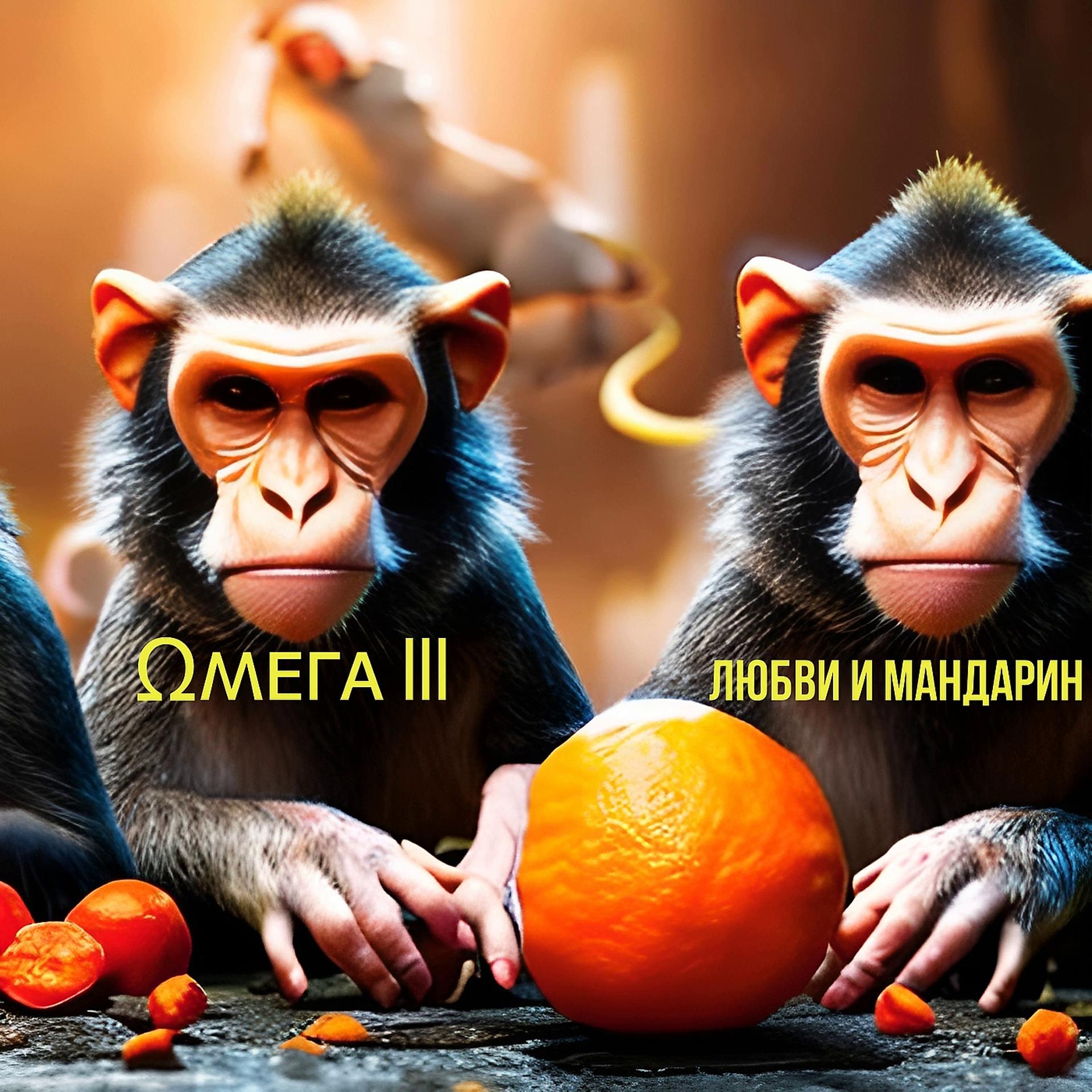 Постер альбома Любви и мандарин