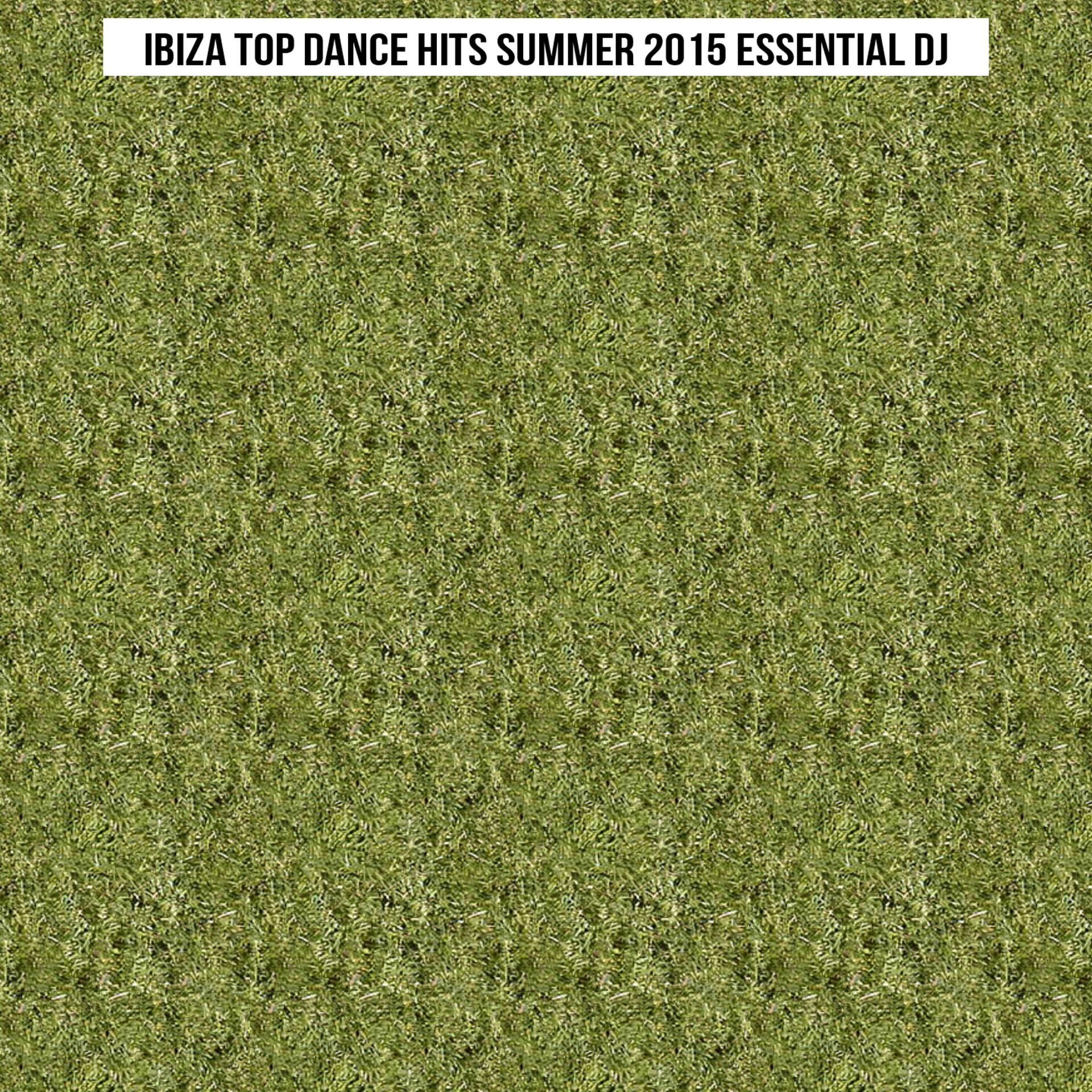 Постер альбома Ibiza Top Dance Hits Summer 2015 Essential DJ