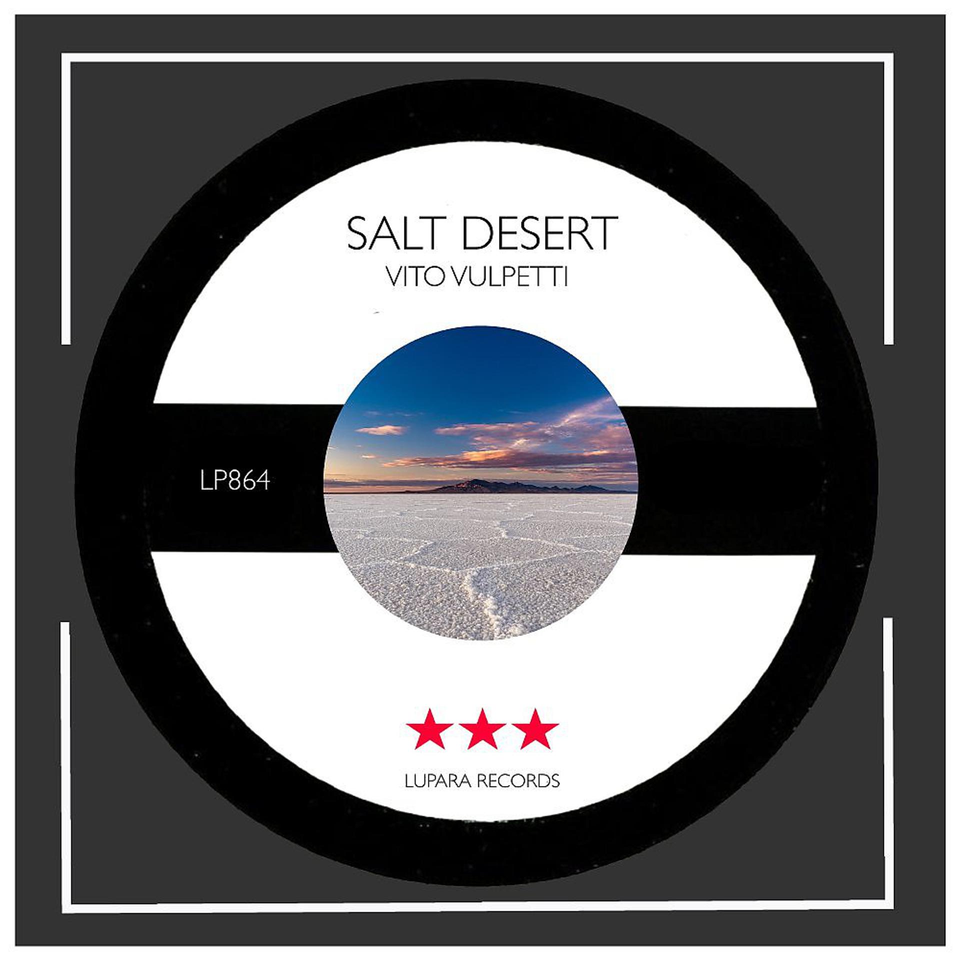 Постер альбома Salt Desert