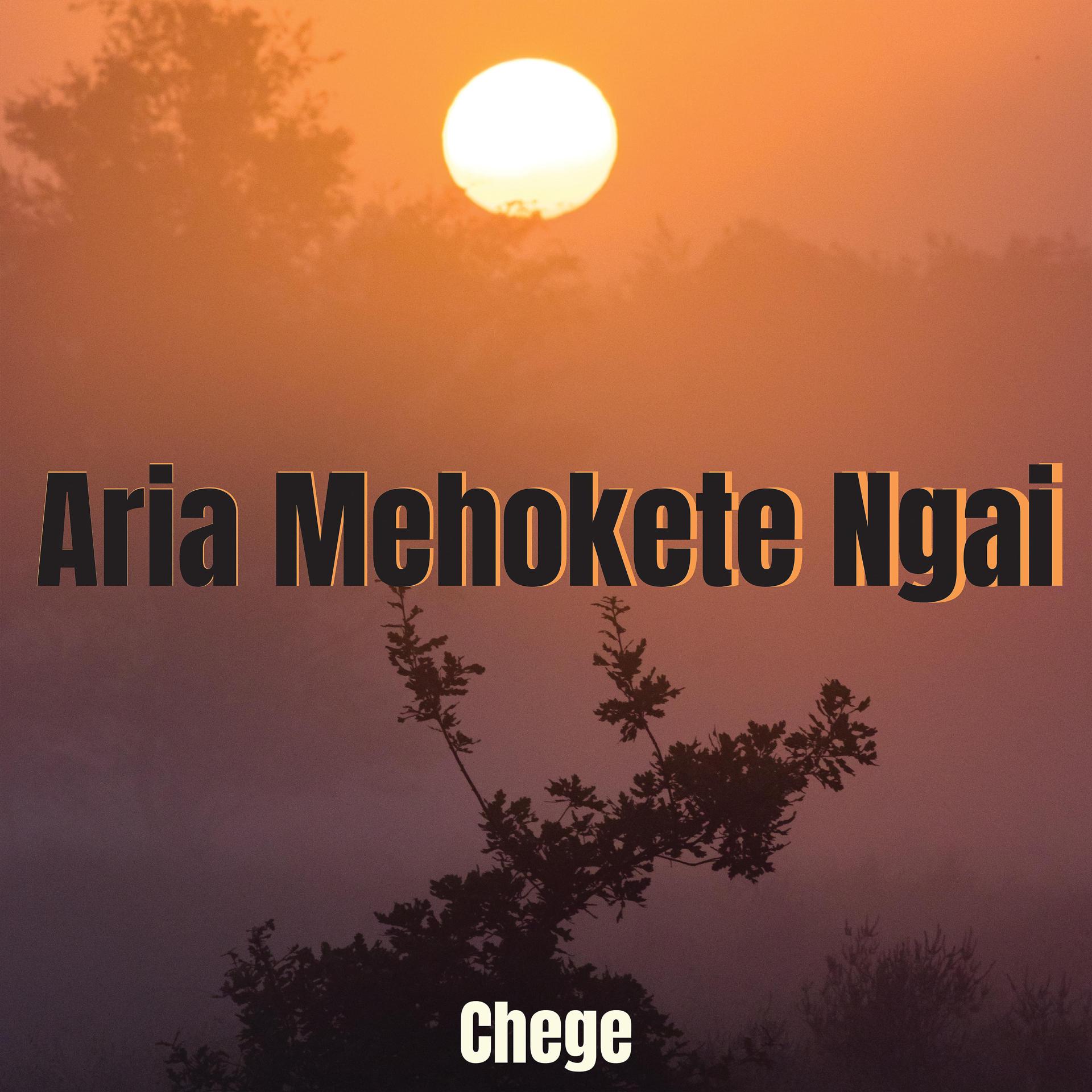 Постер альбома Aria Mehokete Ngai