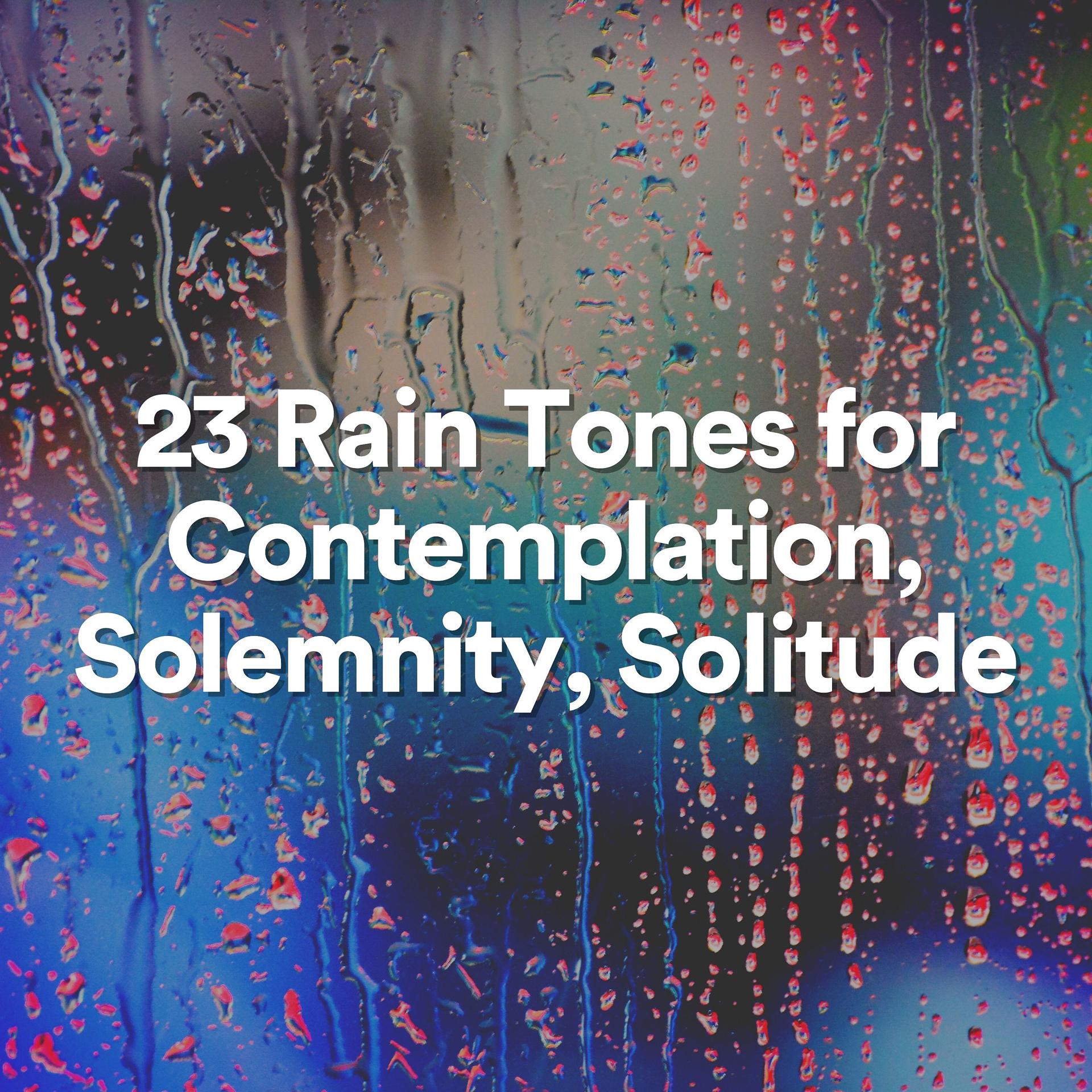 Постер альбома 23 Rain Tones for Contemplation, Solemnity, Solitude