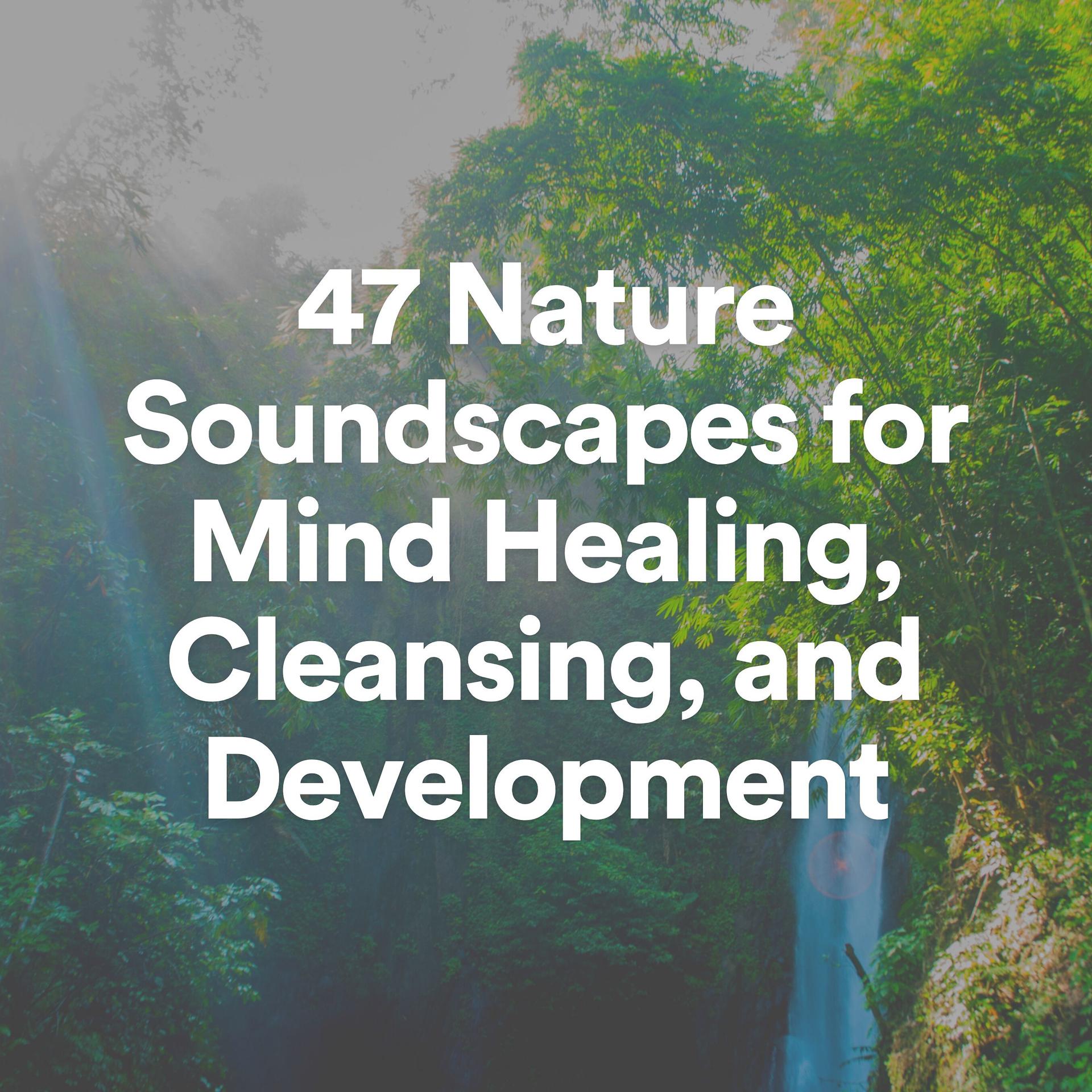 Постер альбома 47 Nature Soundscapes for Mind Healing, Cleansing, and Development