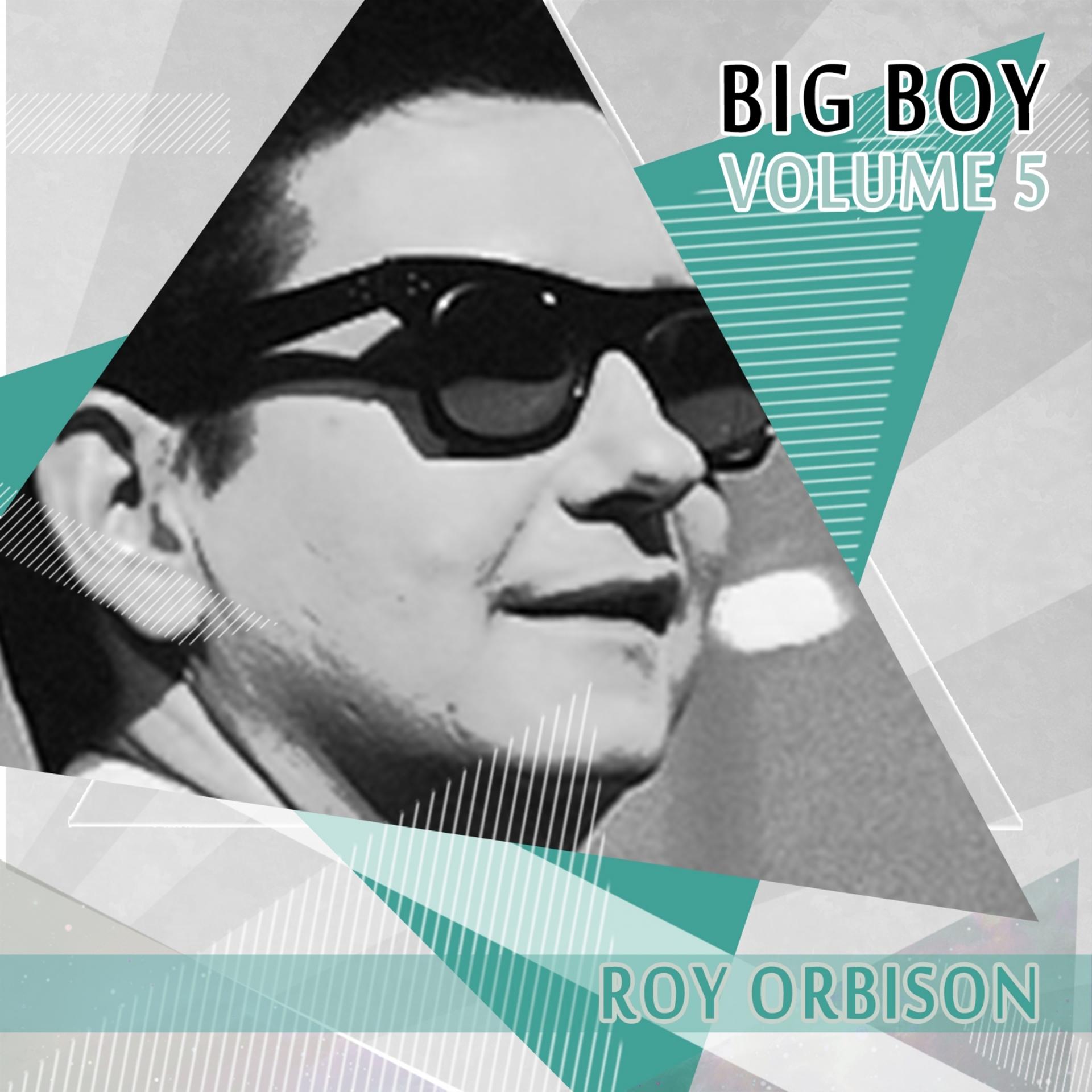 Постер альбома Big Boy Roy Orbison, Vol. 5