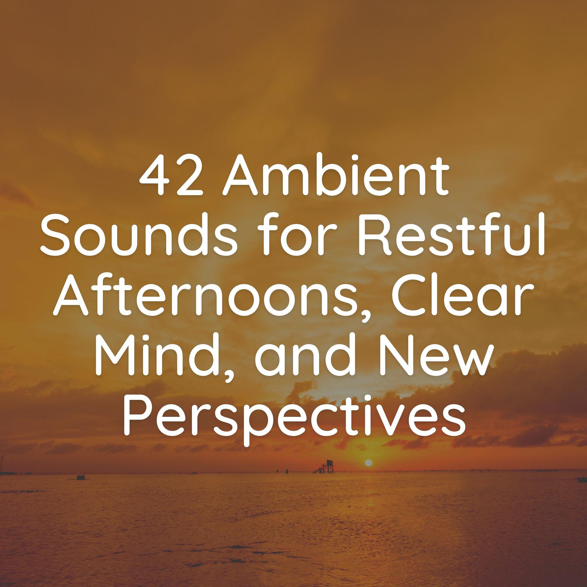 Постер альбома 42 Ambient Sounds for Restful Afternoons, Clear Mind, and New Perspectives
