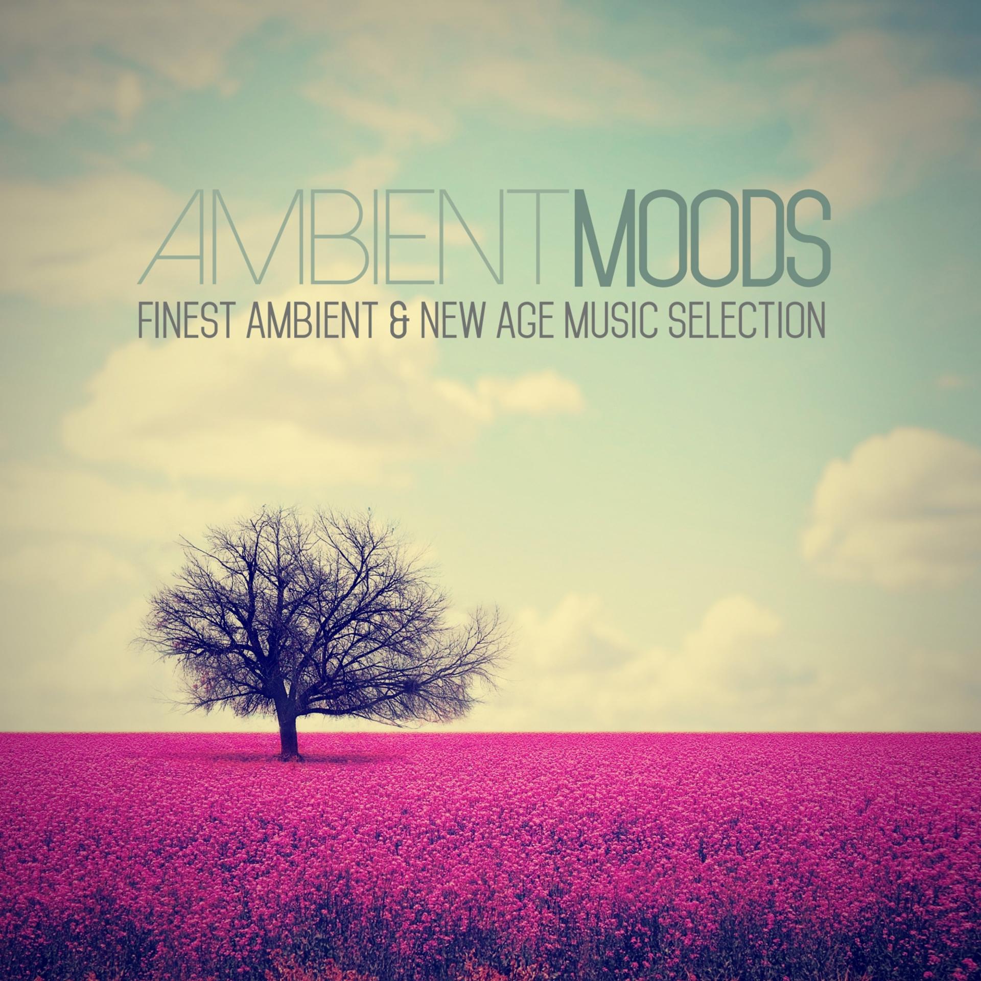 Постер альбома Ambient Moods
