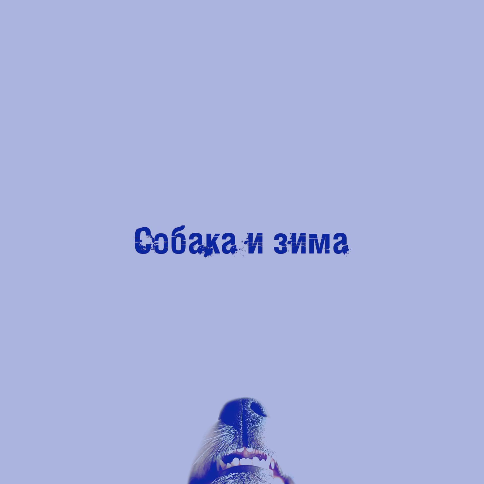 Постер альбома Собака и зима