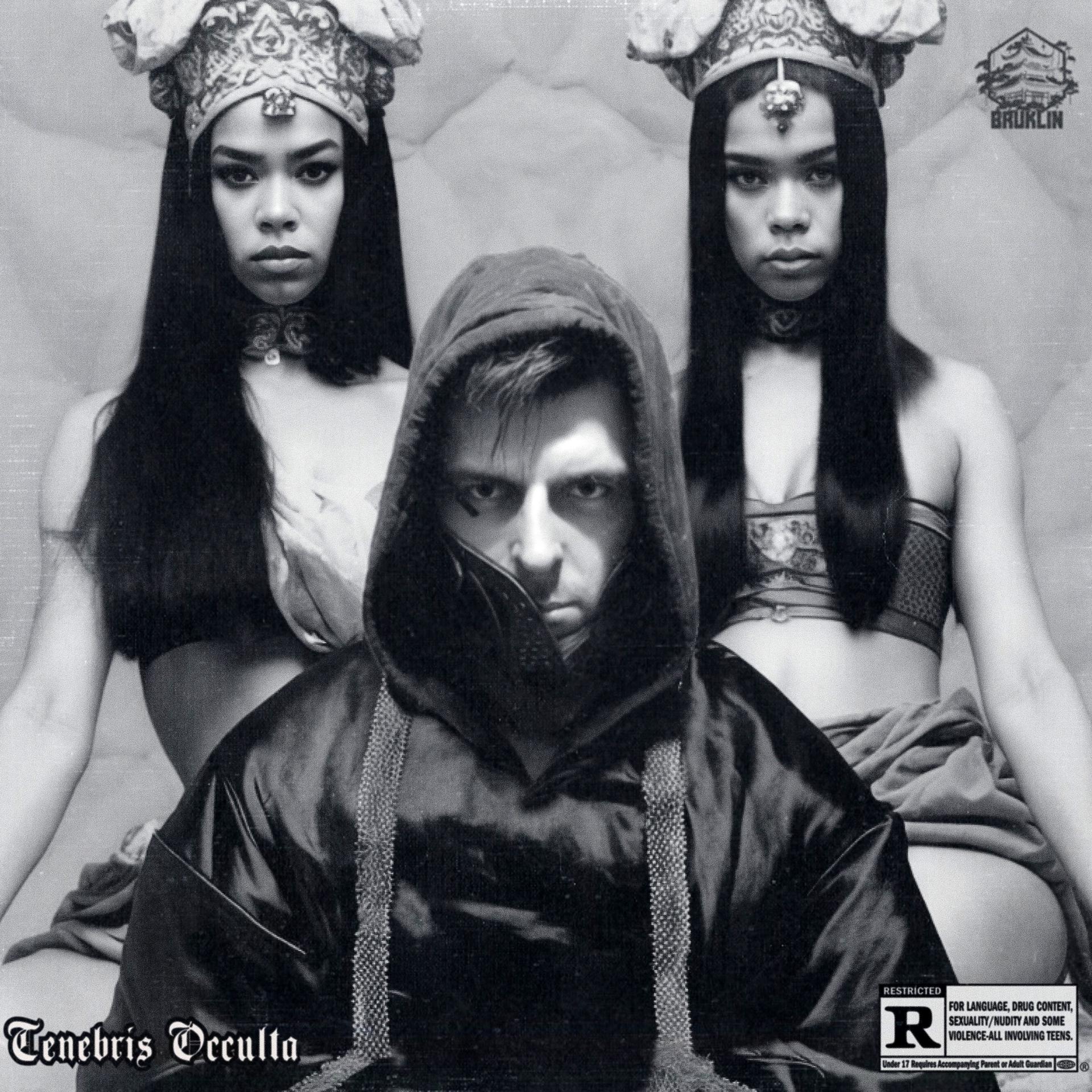 Постер альбома Tenebris Occulta