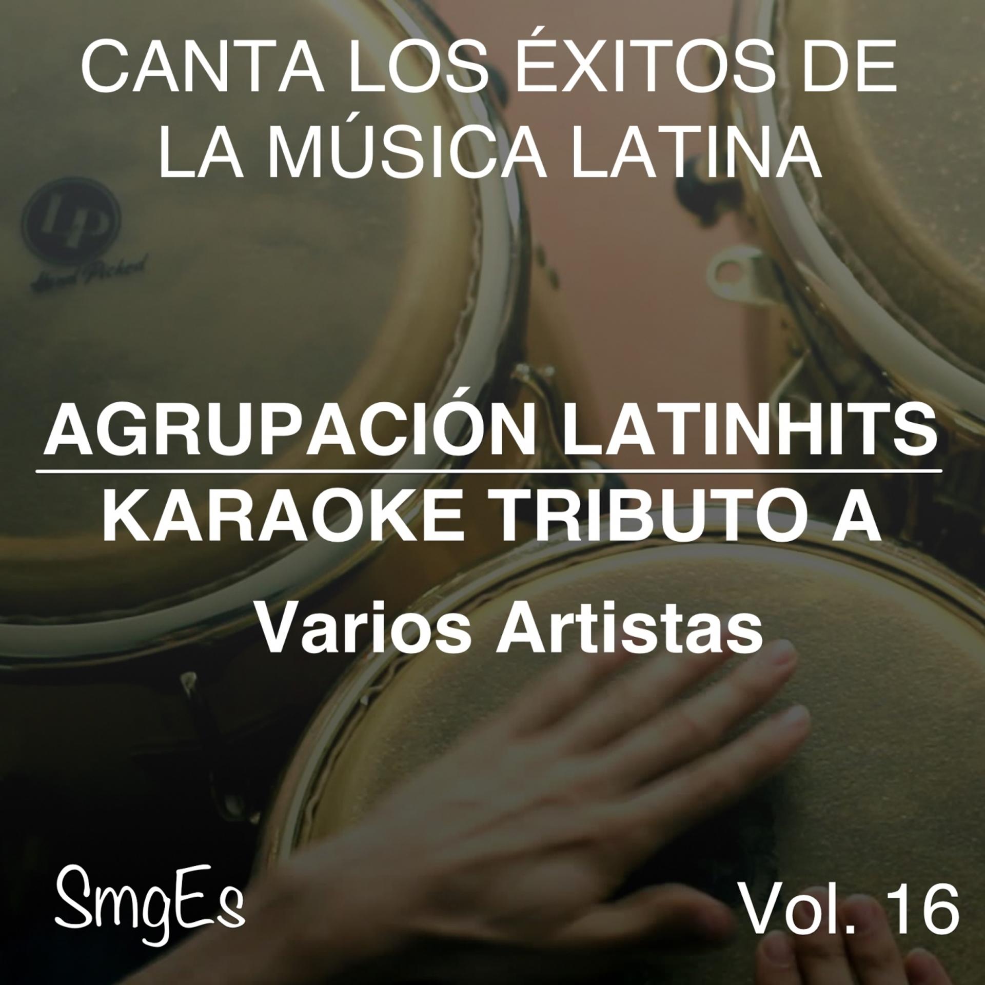 Постер альбома Instrumental Karaoke Series: Varios Artistas, Vol. 16