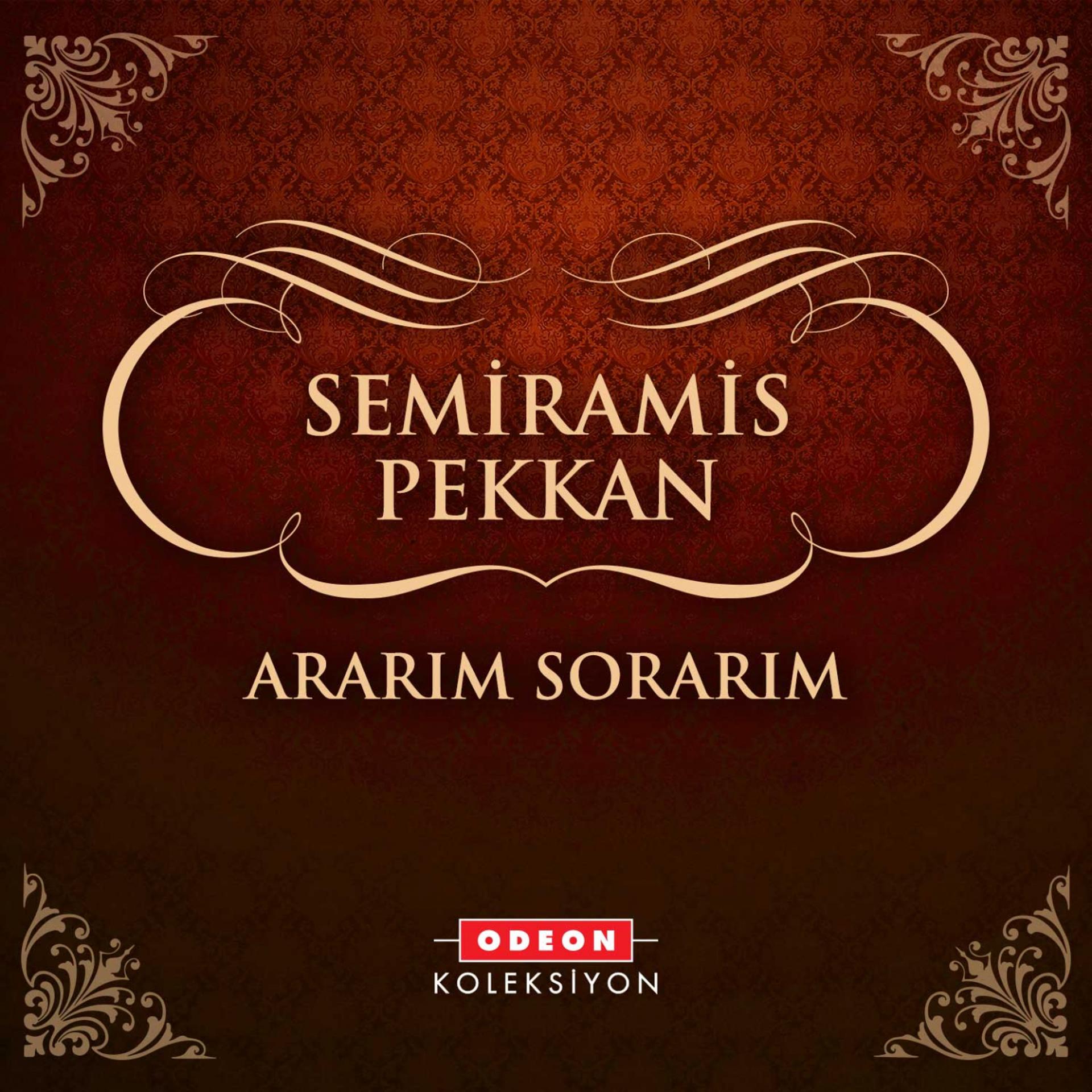 Постер альбома Ararım Sorarım