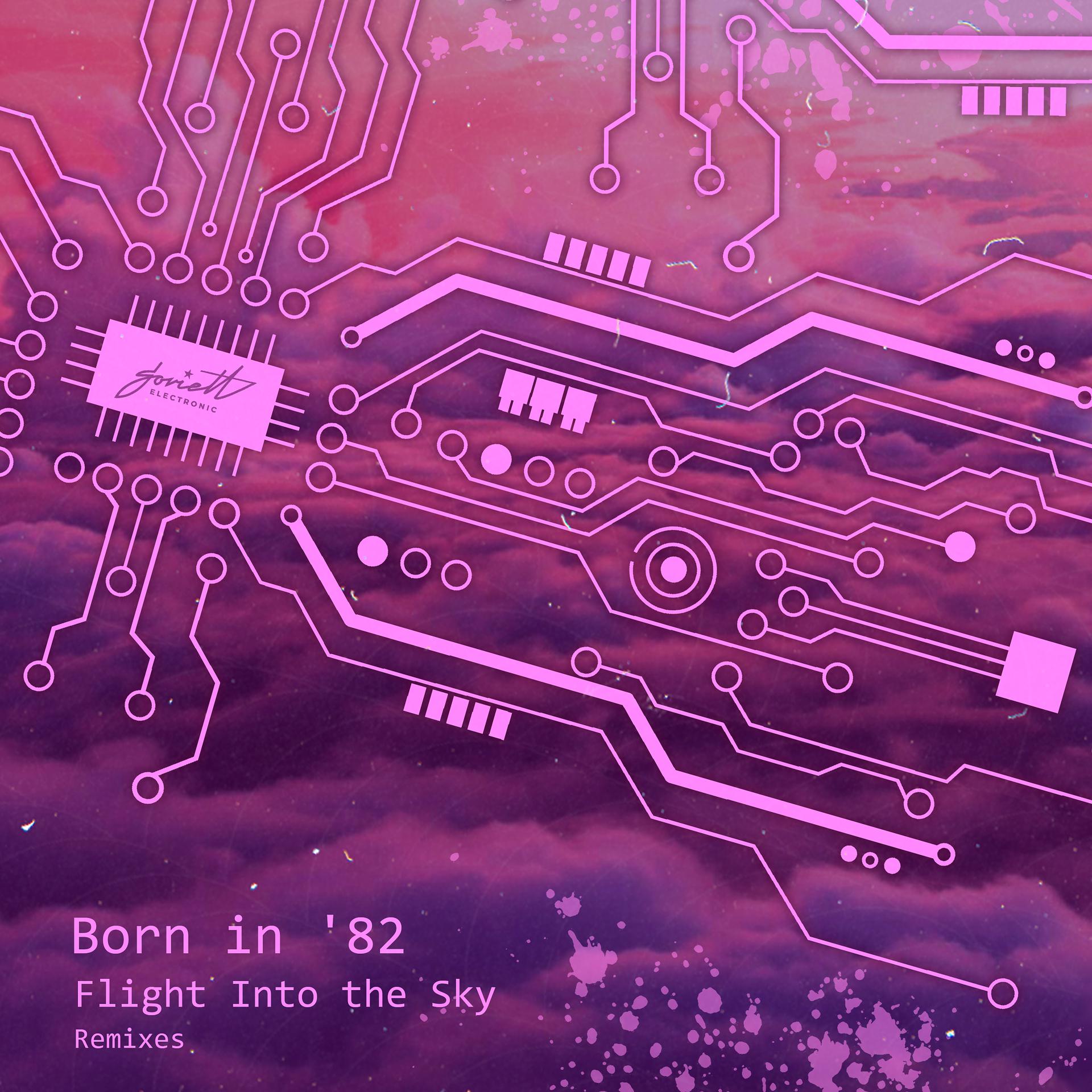 Постер альбома Flight Into the Sky