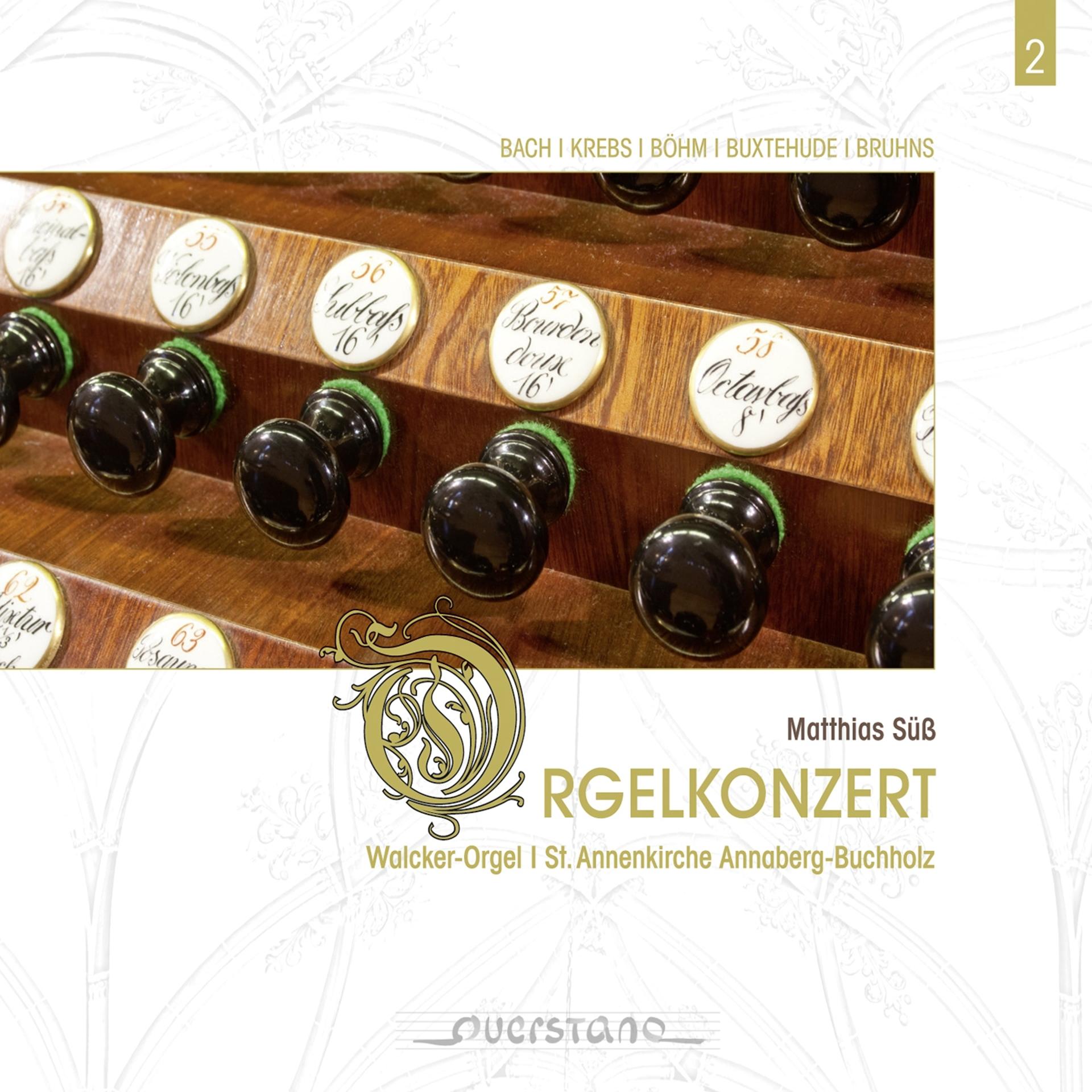 Постер альбома Orgelkonzert Walcker-Orgel Saint Annenkirche Annaberg-Buchholz