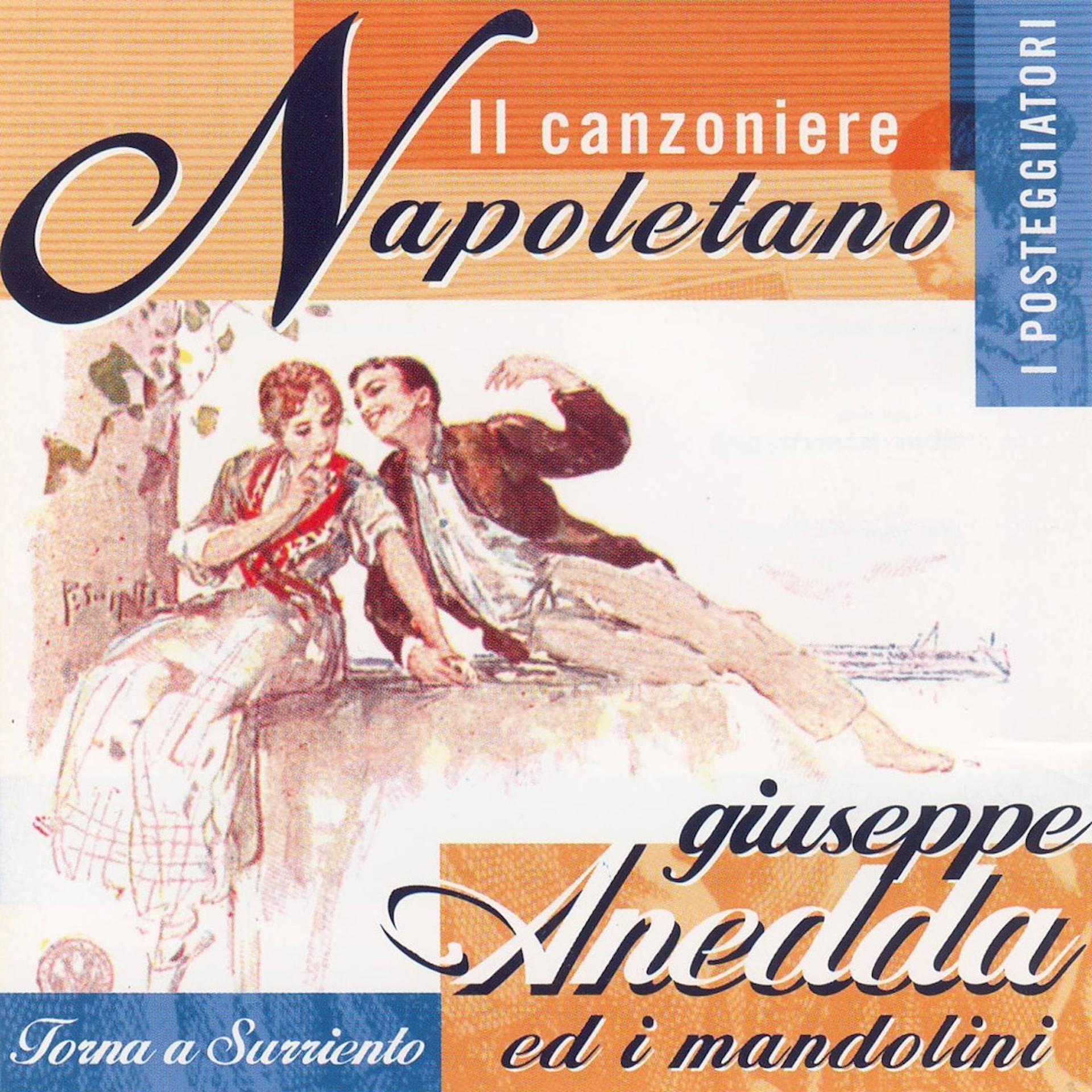 Постер альбома Il canzoniere napoletano