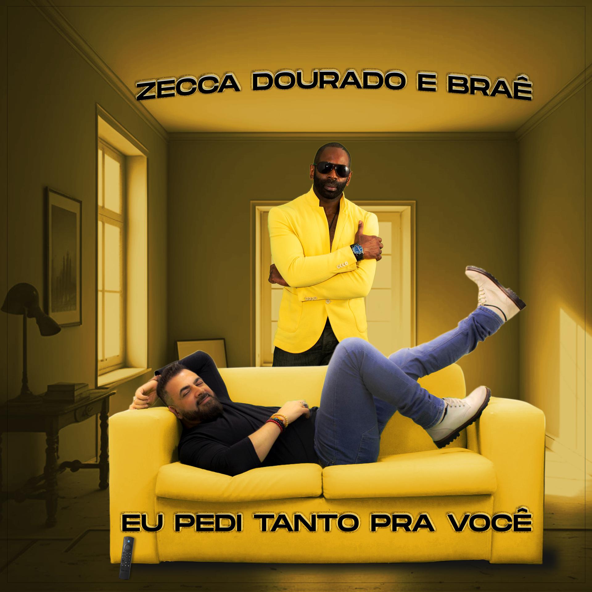 Постер альбома Eu Pedi Tanto Pra você (feat. Zecca Dourado)