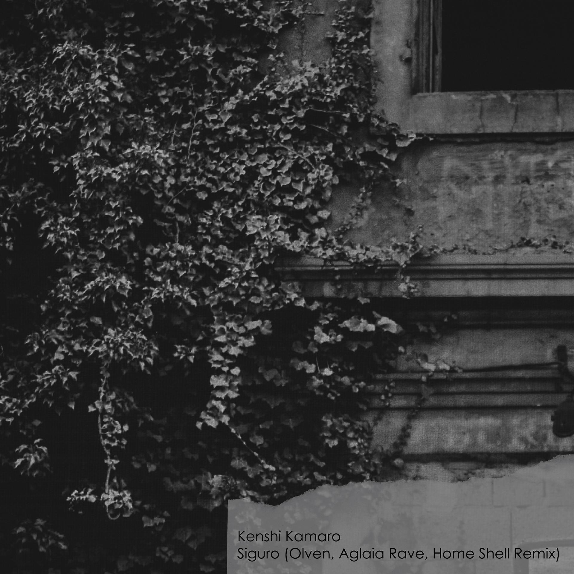 Постер альбома Siguro (Olven, Aglaia Rave, Home Shell Remix)
