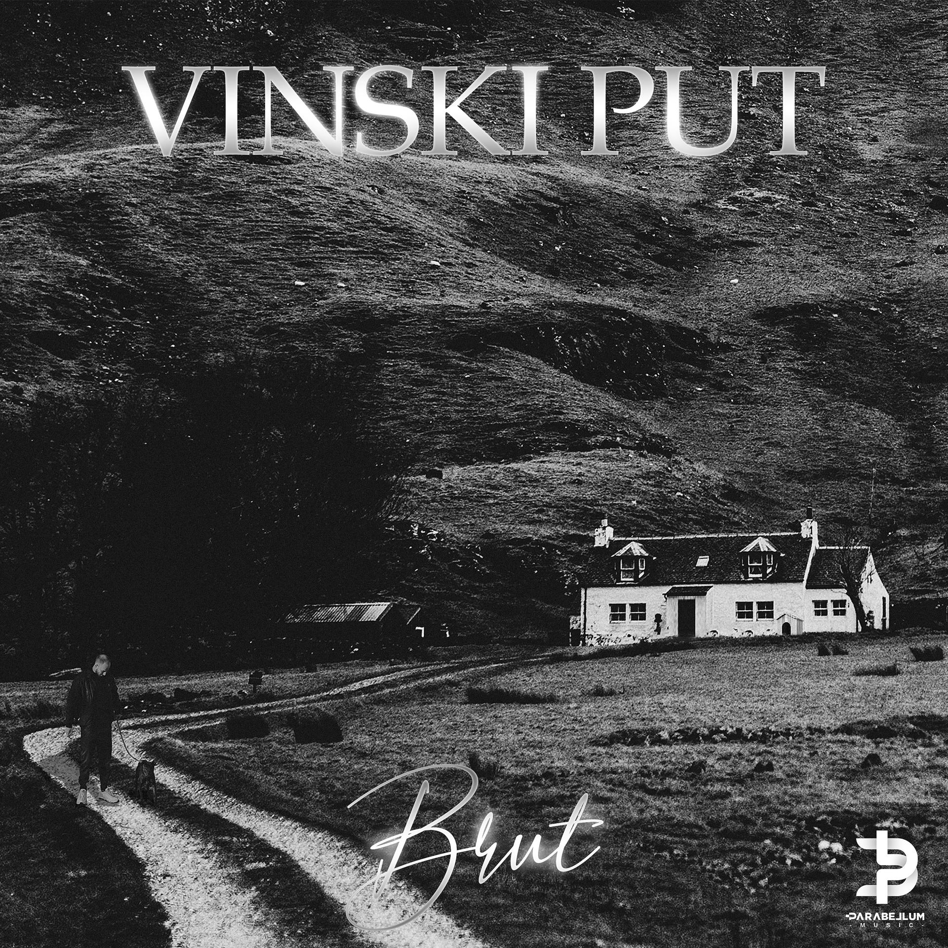 Постер альбома Vinski Put