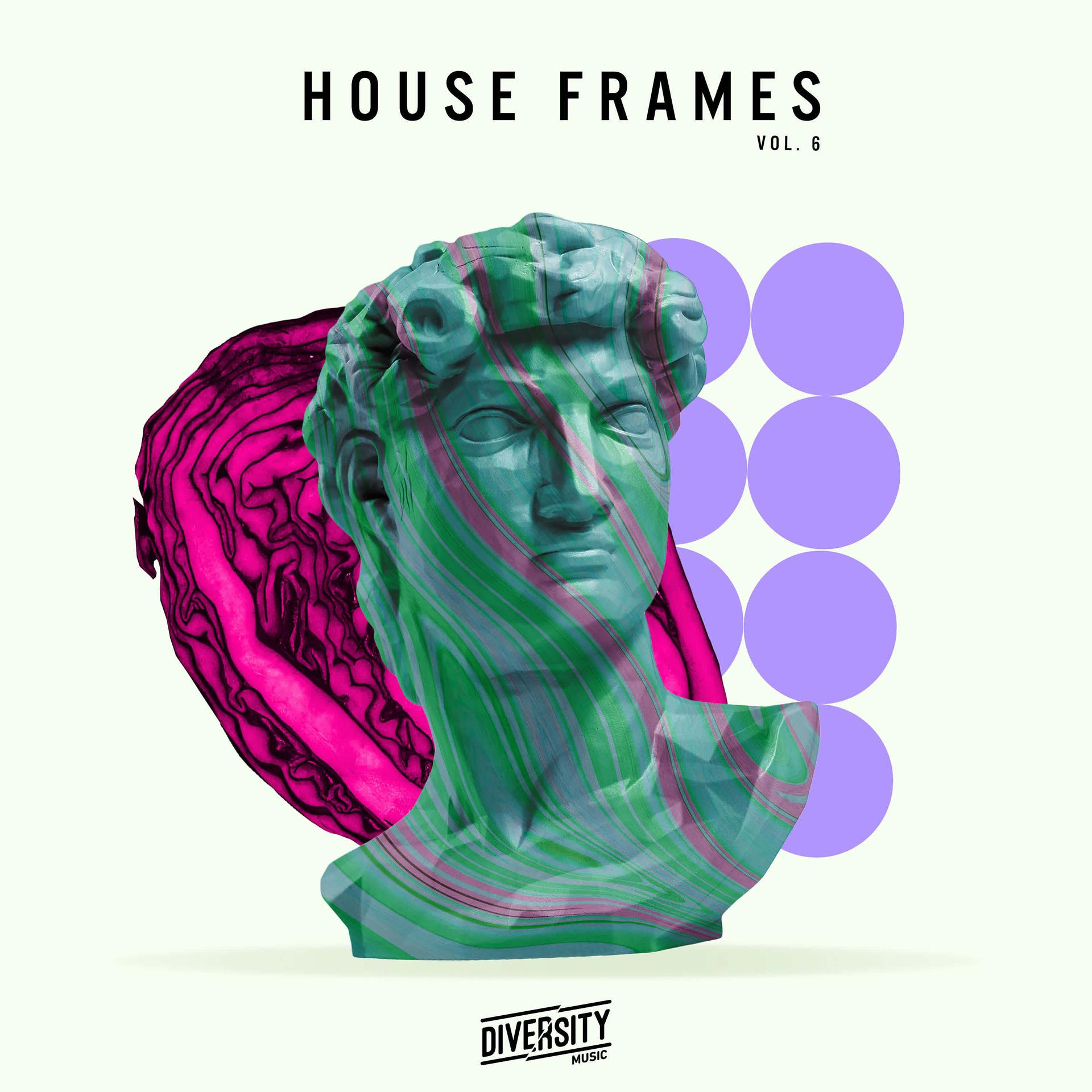 Постер альбома House Frames, Vol. 6