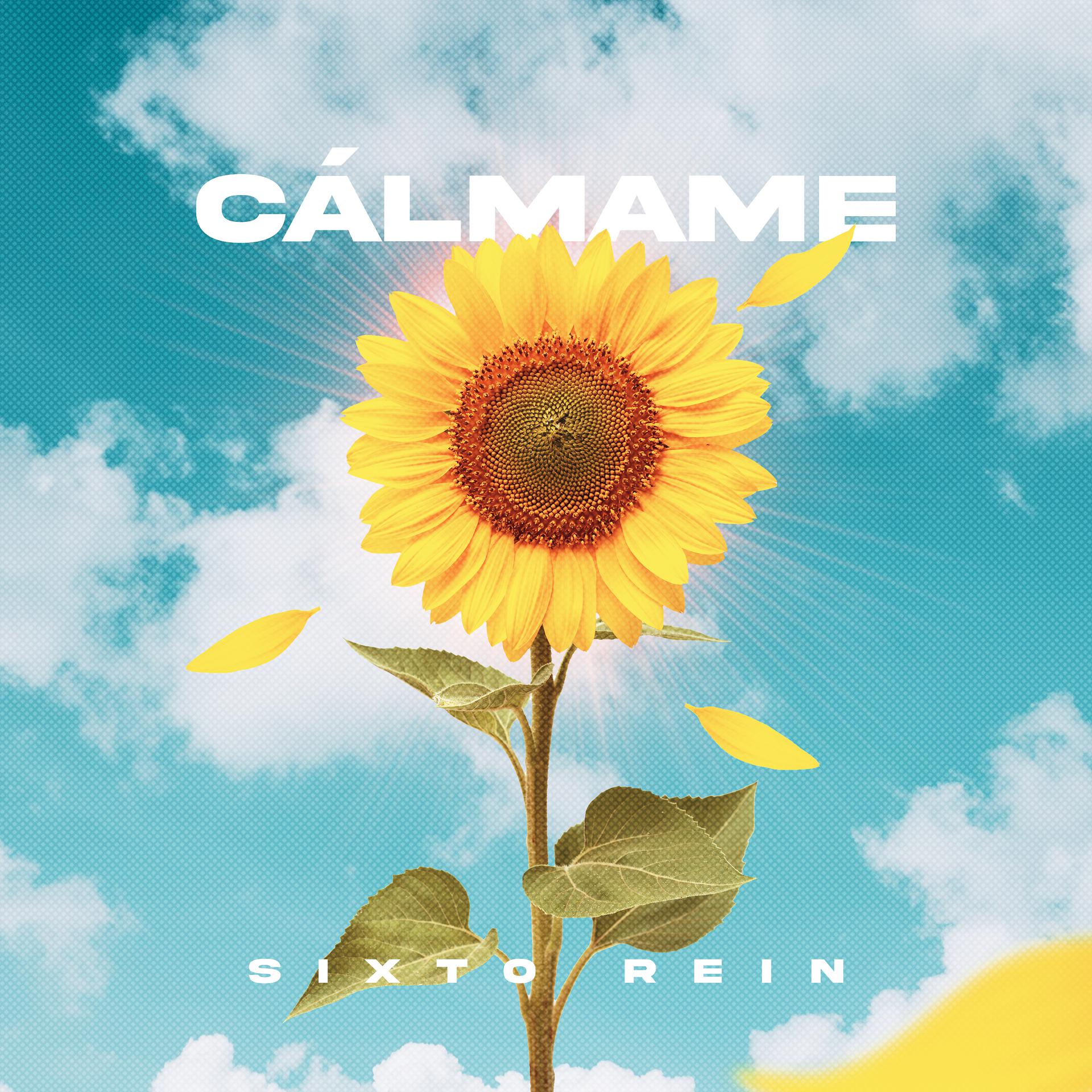 Постер альбома Cálmame
