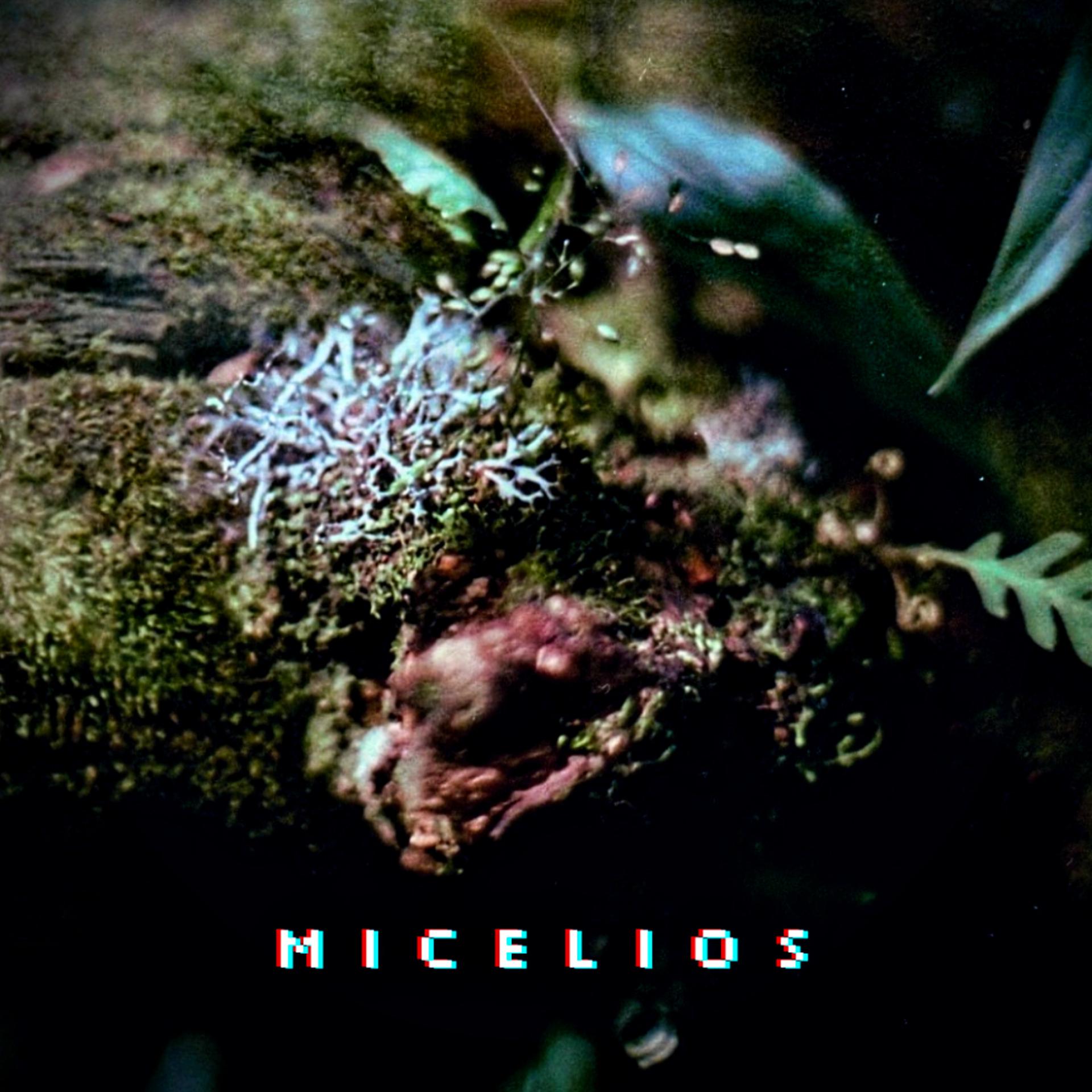 Постер альбома Micelios