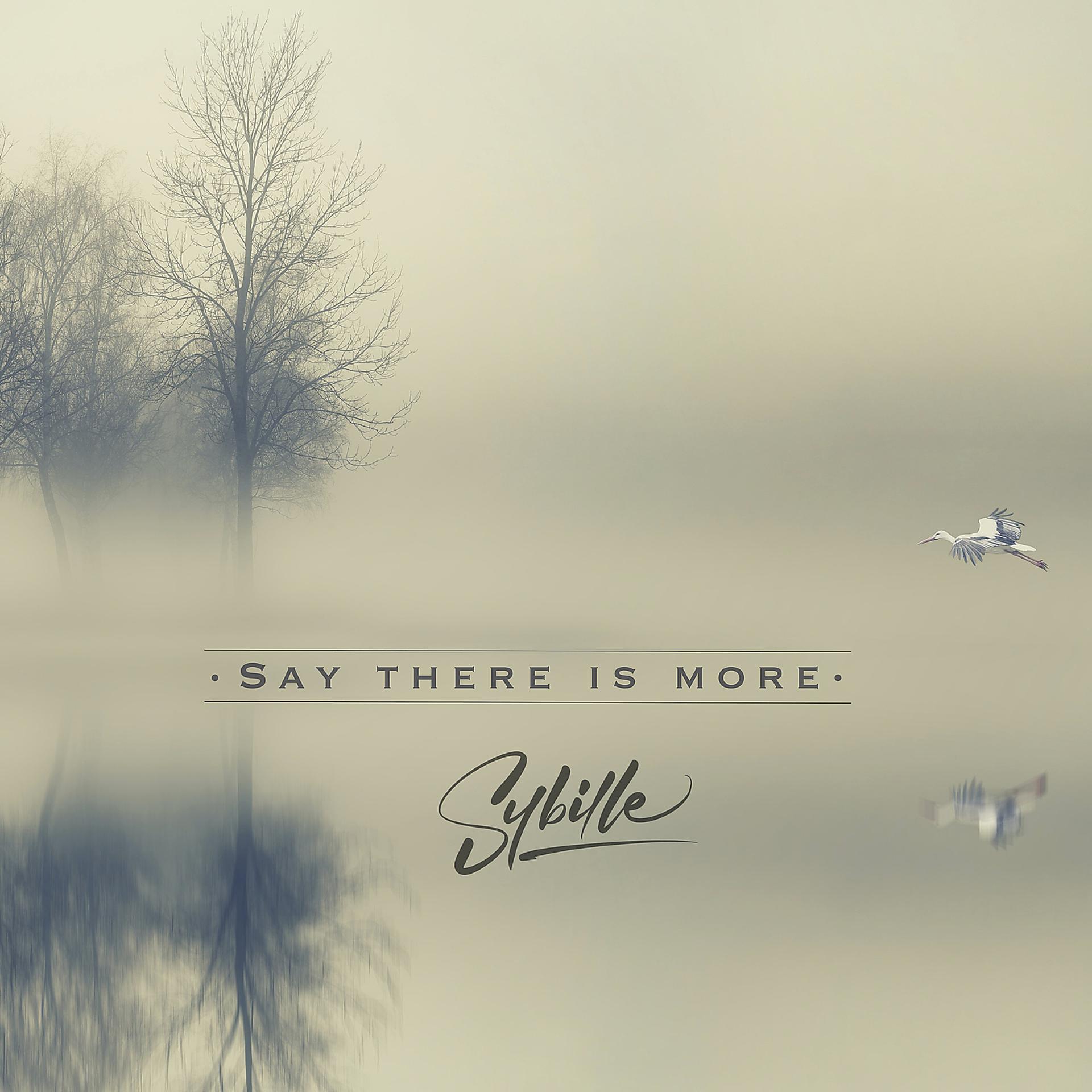 Постер альбома Say There Is More