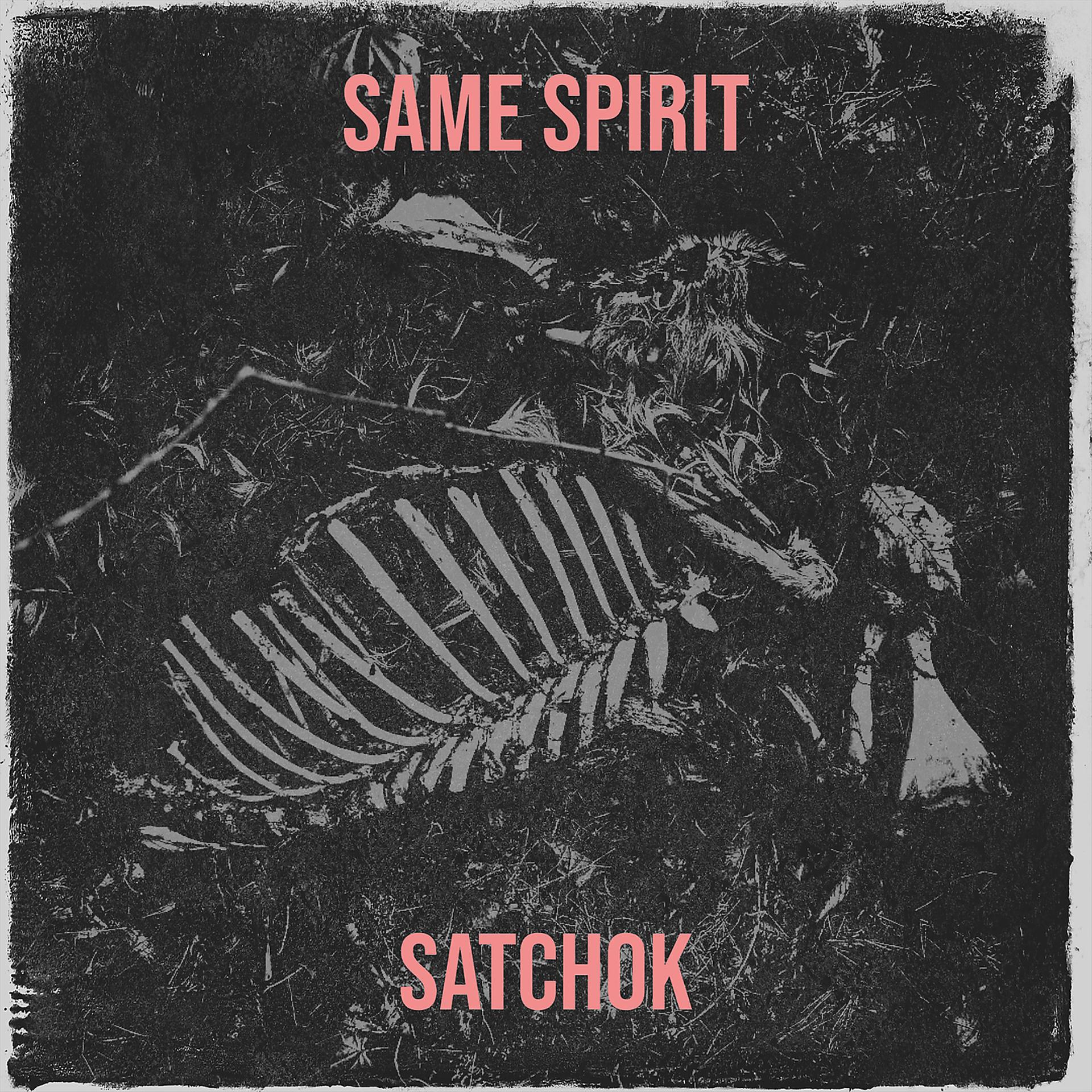 Постер альбома Same Spirit