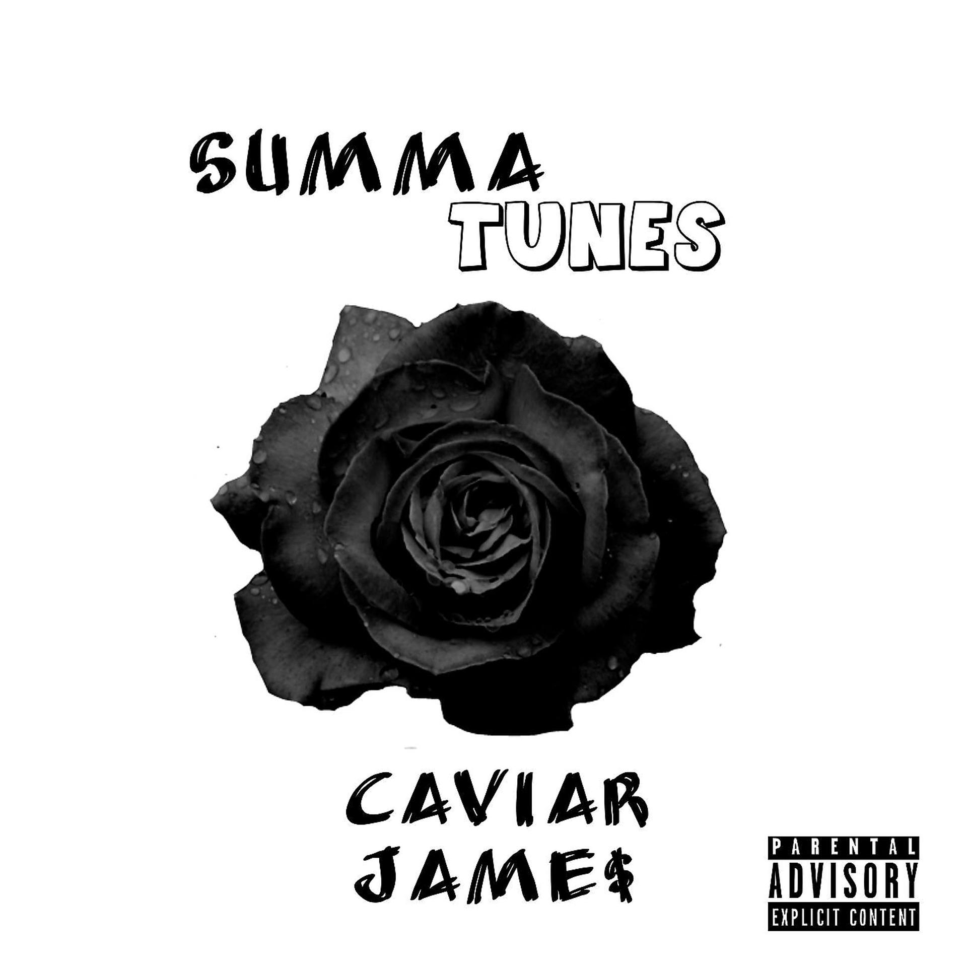 Постер альбома Summa Tunes