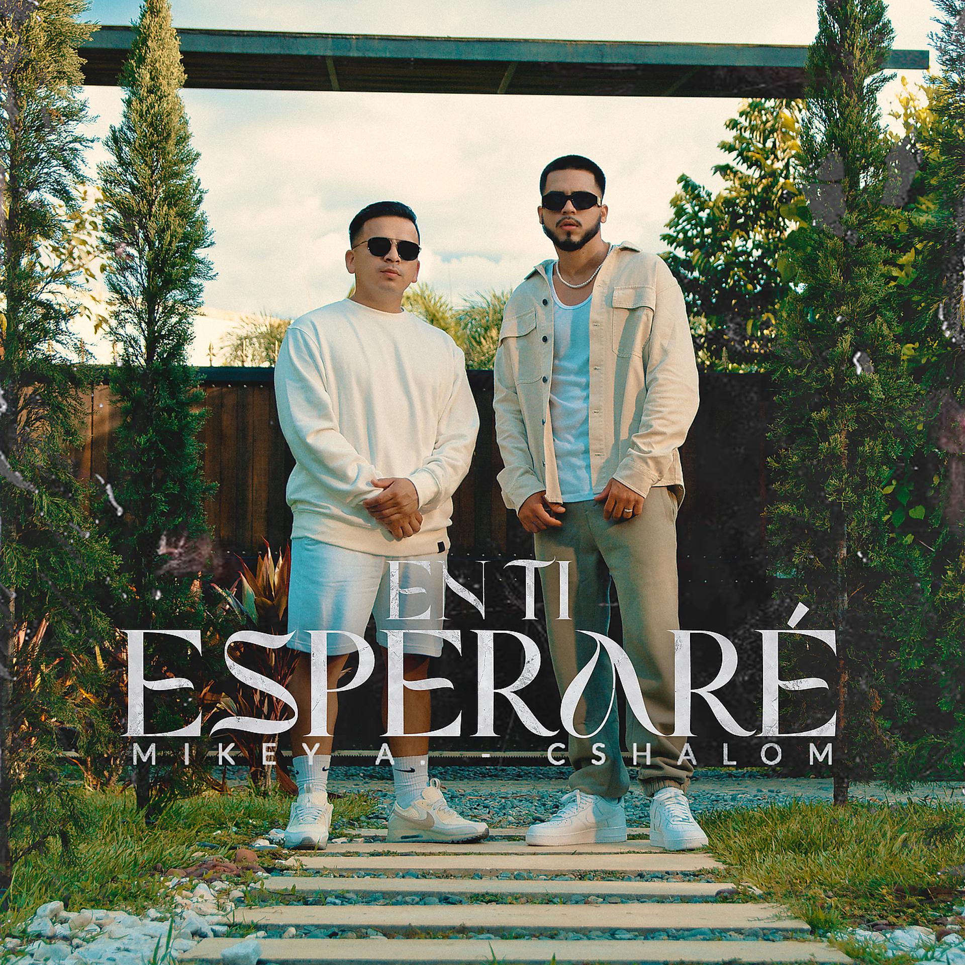 Постер альбома En Ti Esperaré