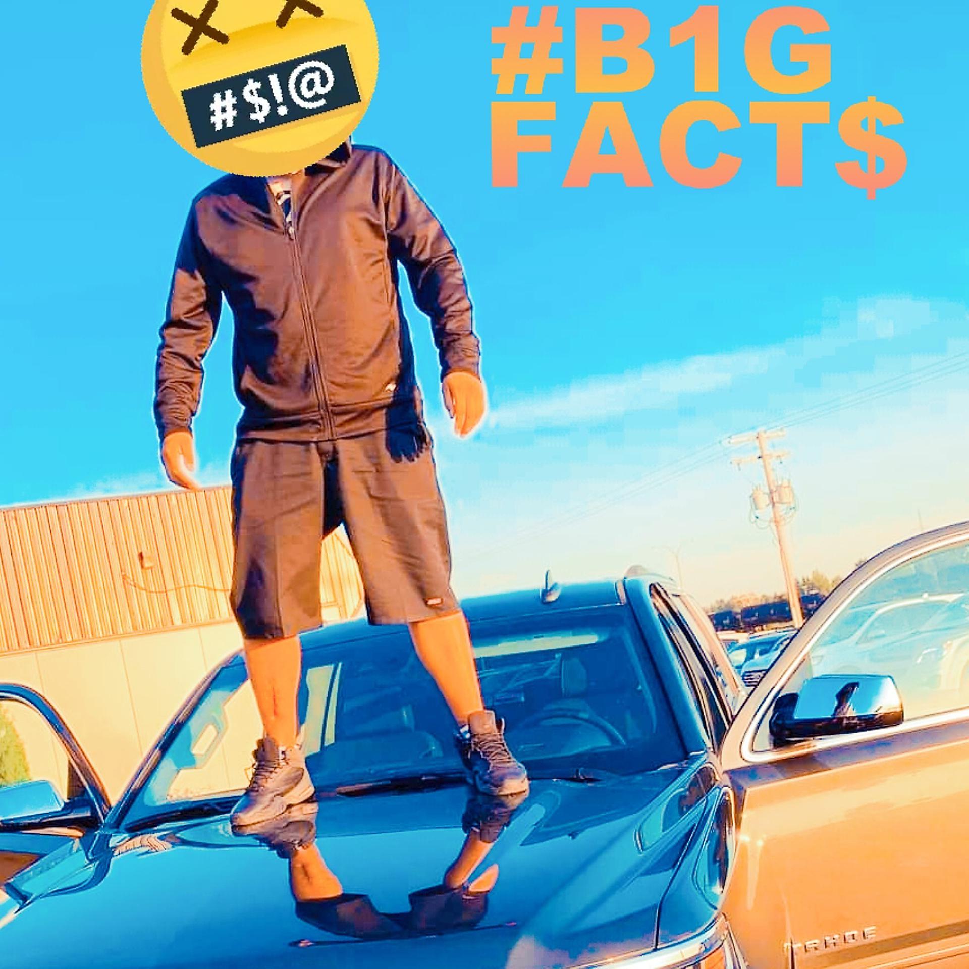 Постер альбома B1g_fact$