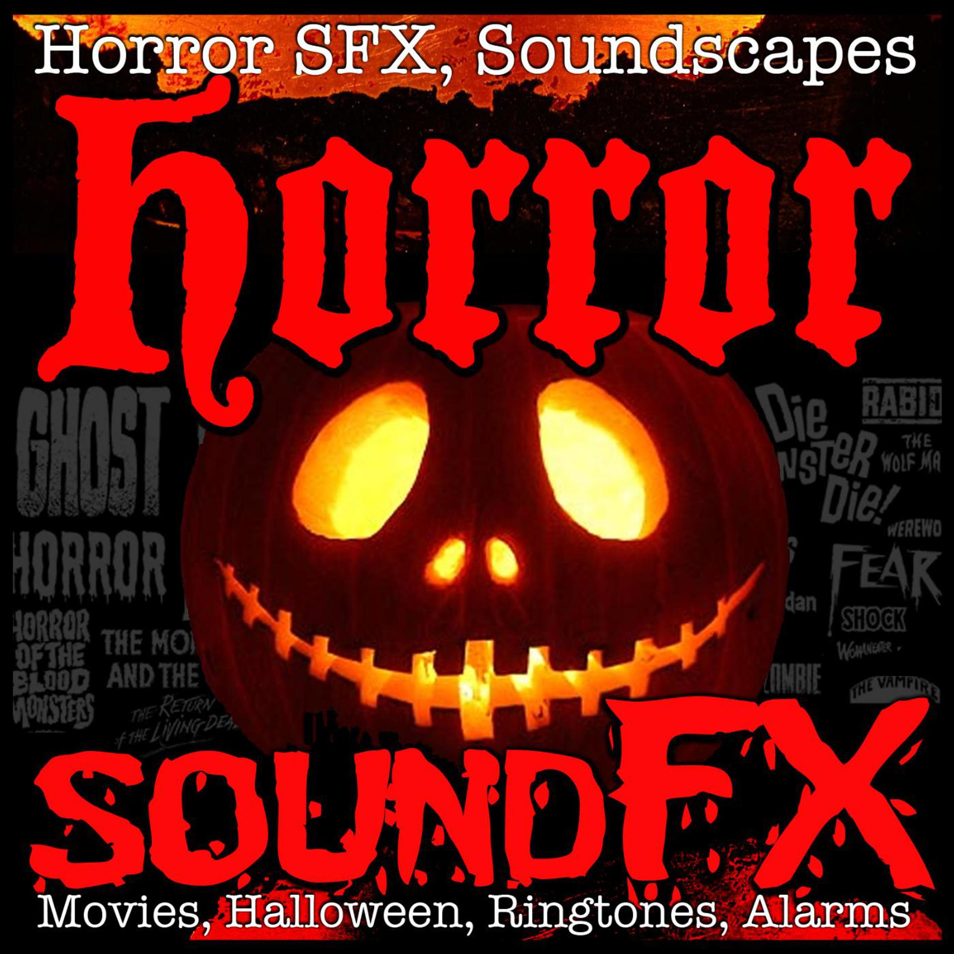 Постер альбома Horror Soundscapes, Halloween Haunted House Ambience, Scary Sound Effects