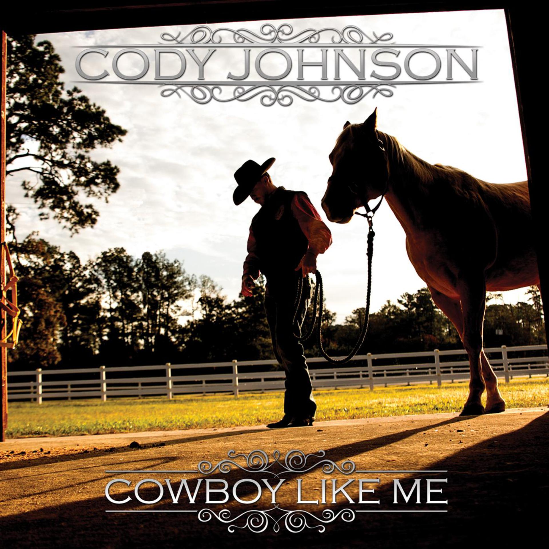 Постер альбома Cowboy Like Me