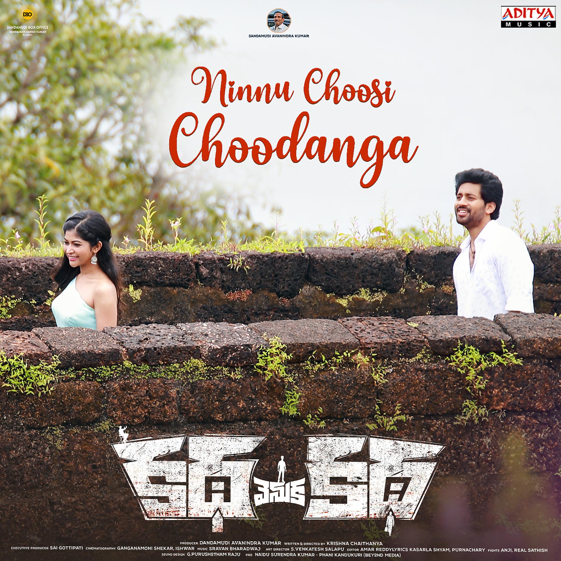 Постер альбома Ninnu Choosi Choodanga