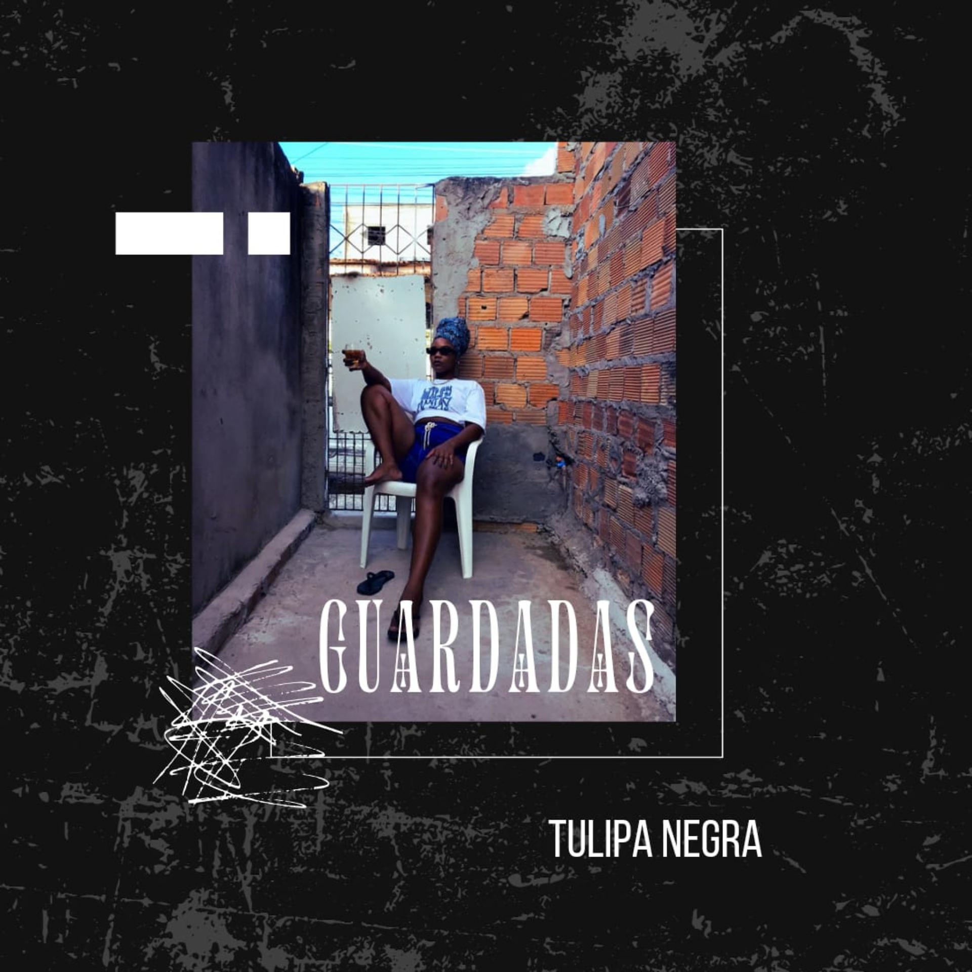 Постер альбома Guardadas