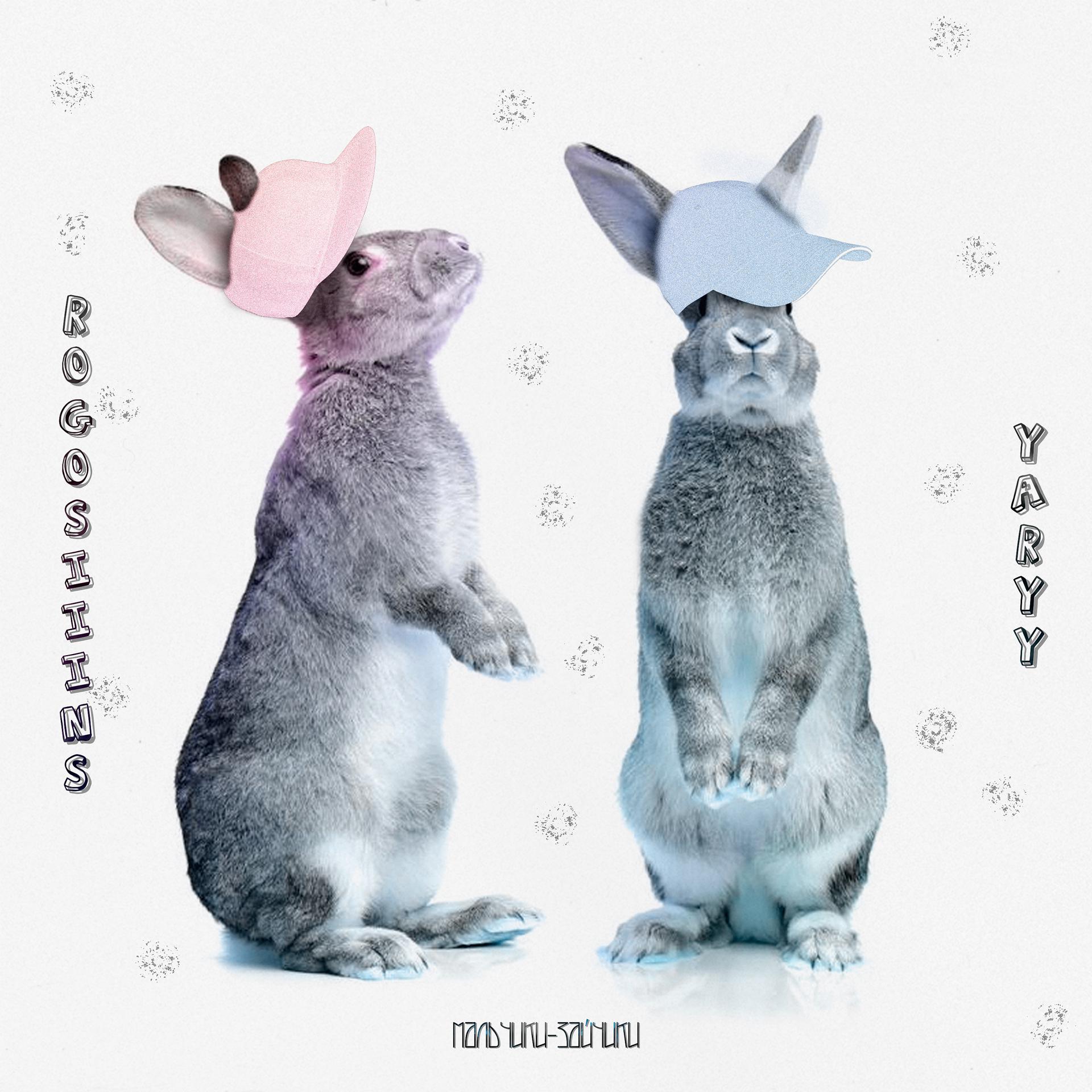 Постер альбома Мальчики-зайчики (feat. Yaryy)