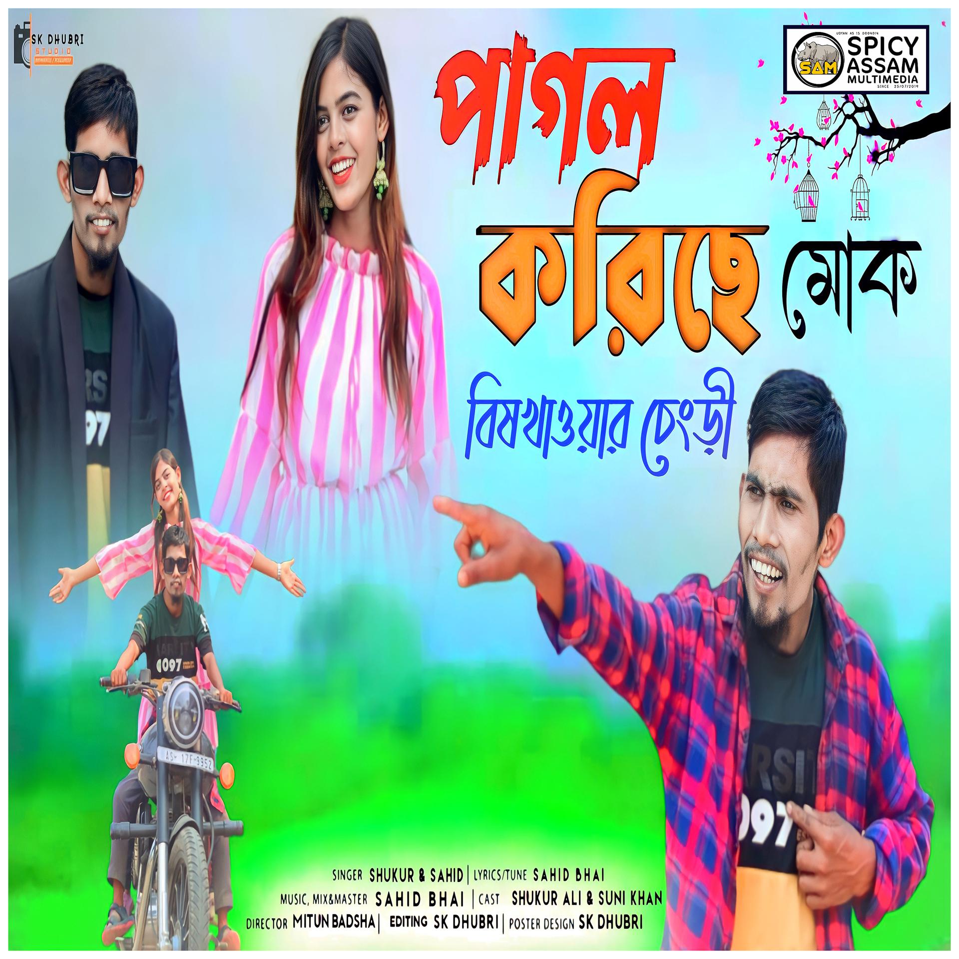 Постер альбома Pagol Korise Muk Bishkhawar Sengri