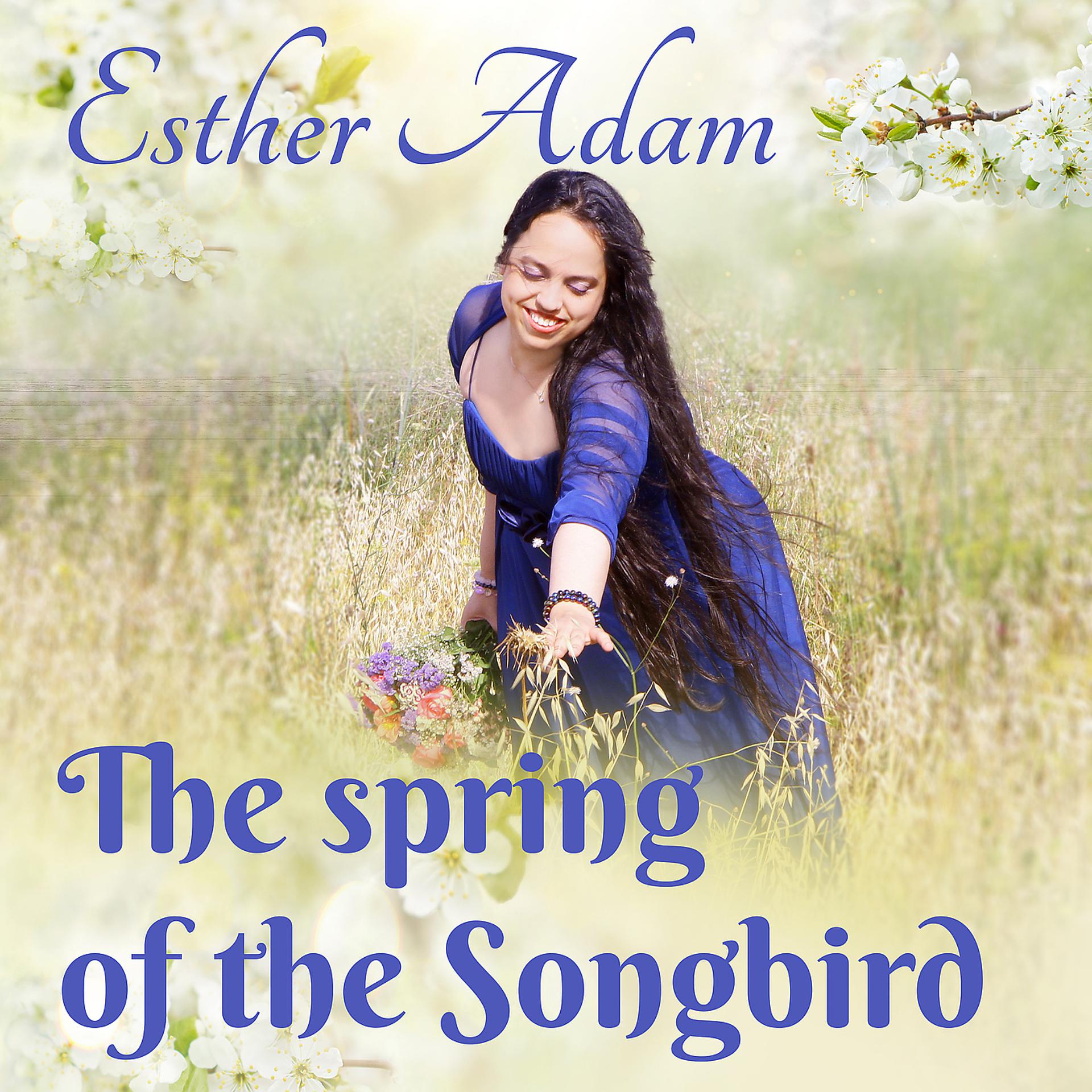 Постер альбома The Spring of the Songbird