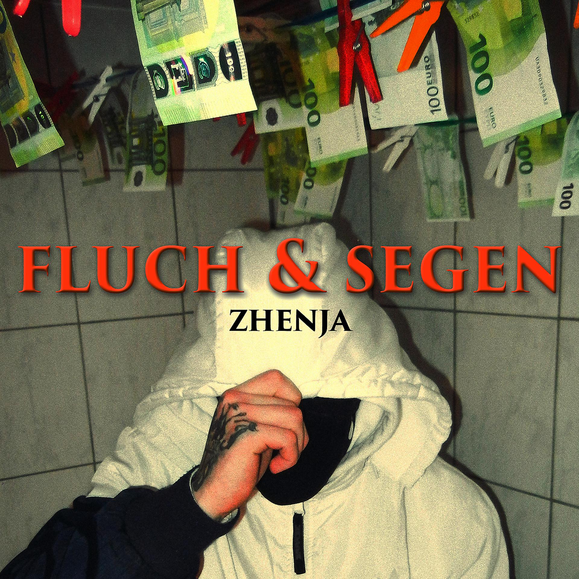 Постер альбома Fluch & Segen