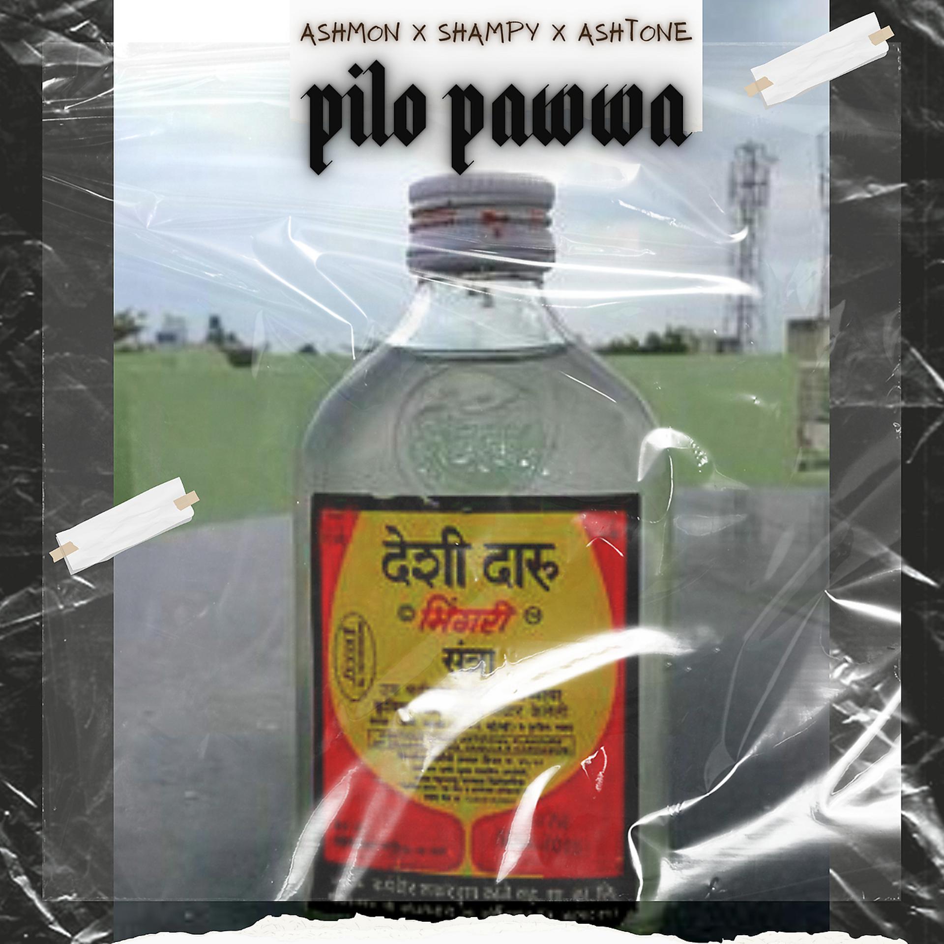 Постер альбома Pilo Pawwa