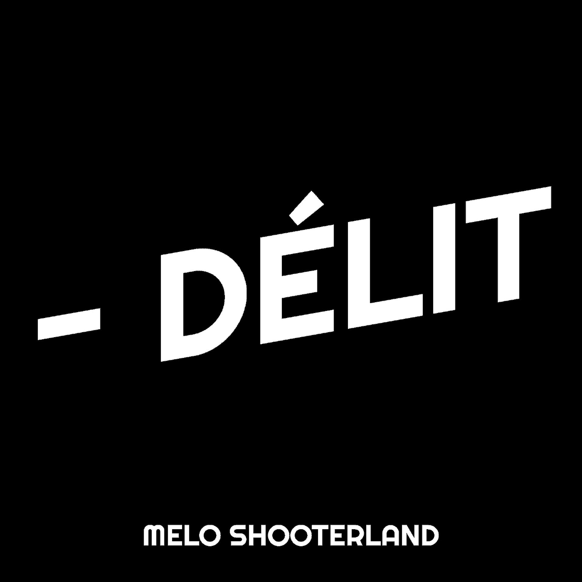 Постер альбома - Délit