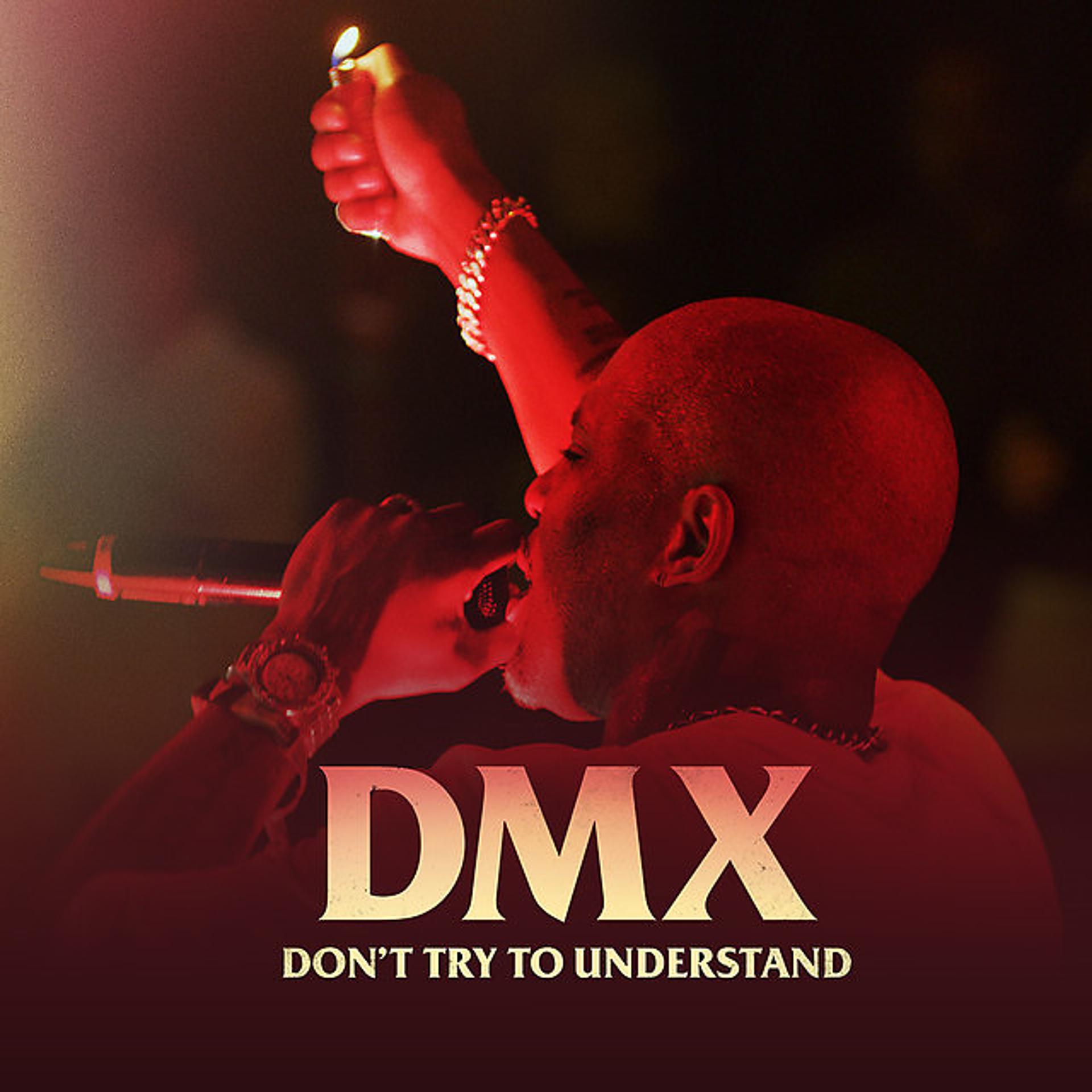 Постер альбома DMX: Don't Try to Understand