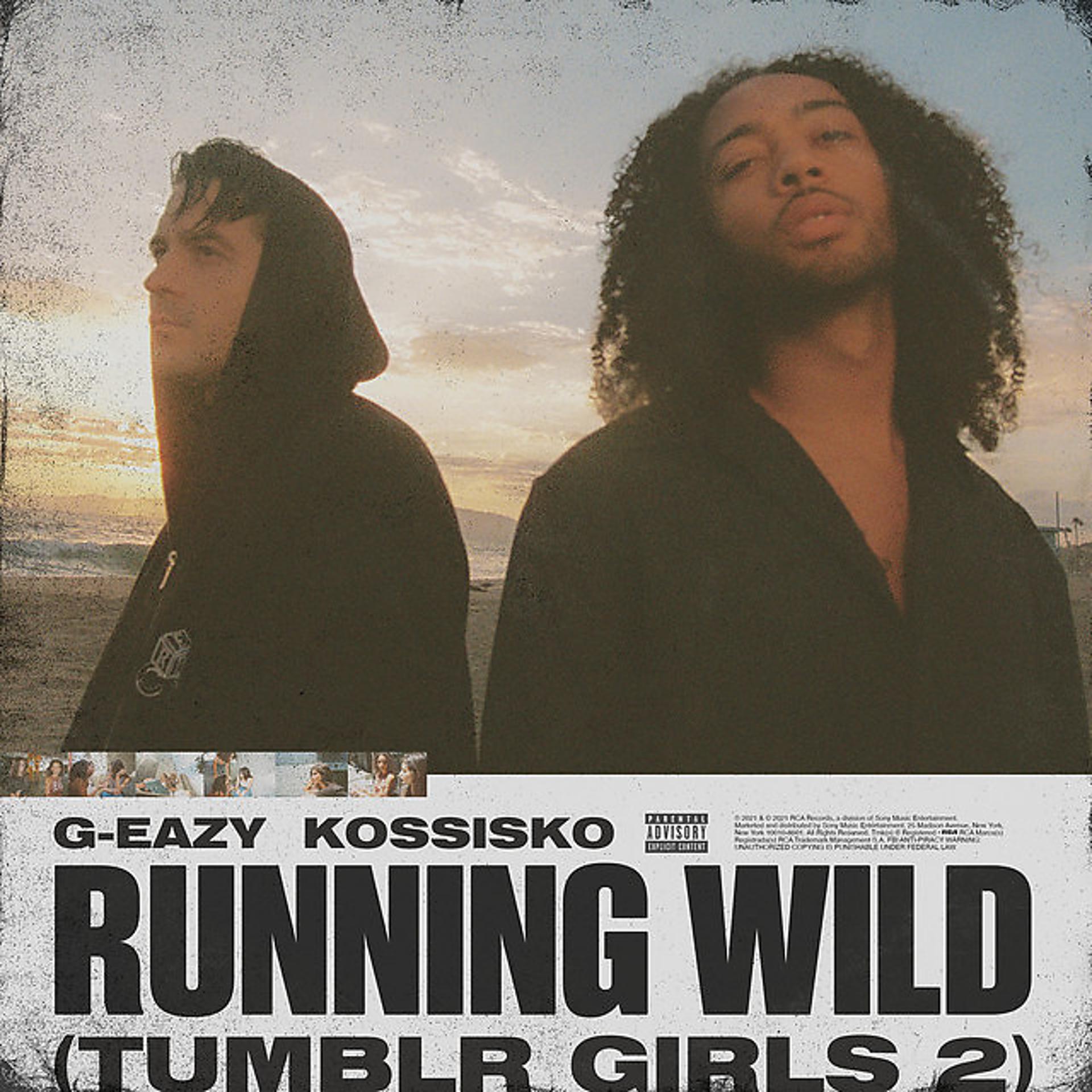 Постер альбома Running Wild (Tumblr Girls 2) (feat. Kossisko)
