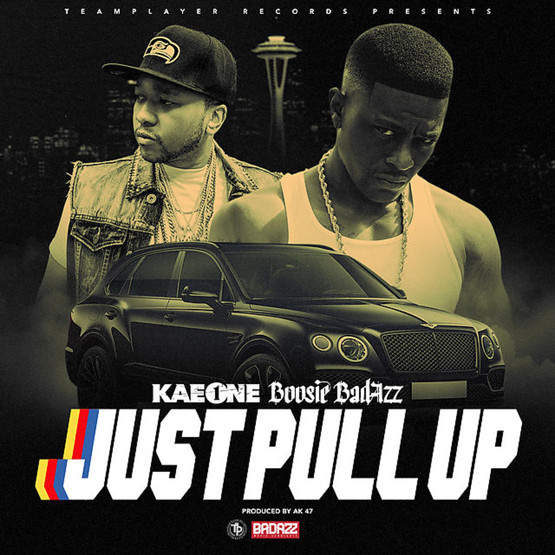 Постер альбома Just Pull Up (feat. Boosie Badazz)