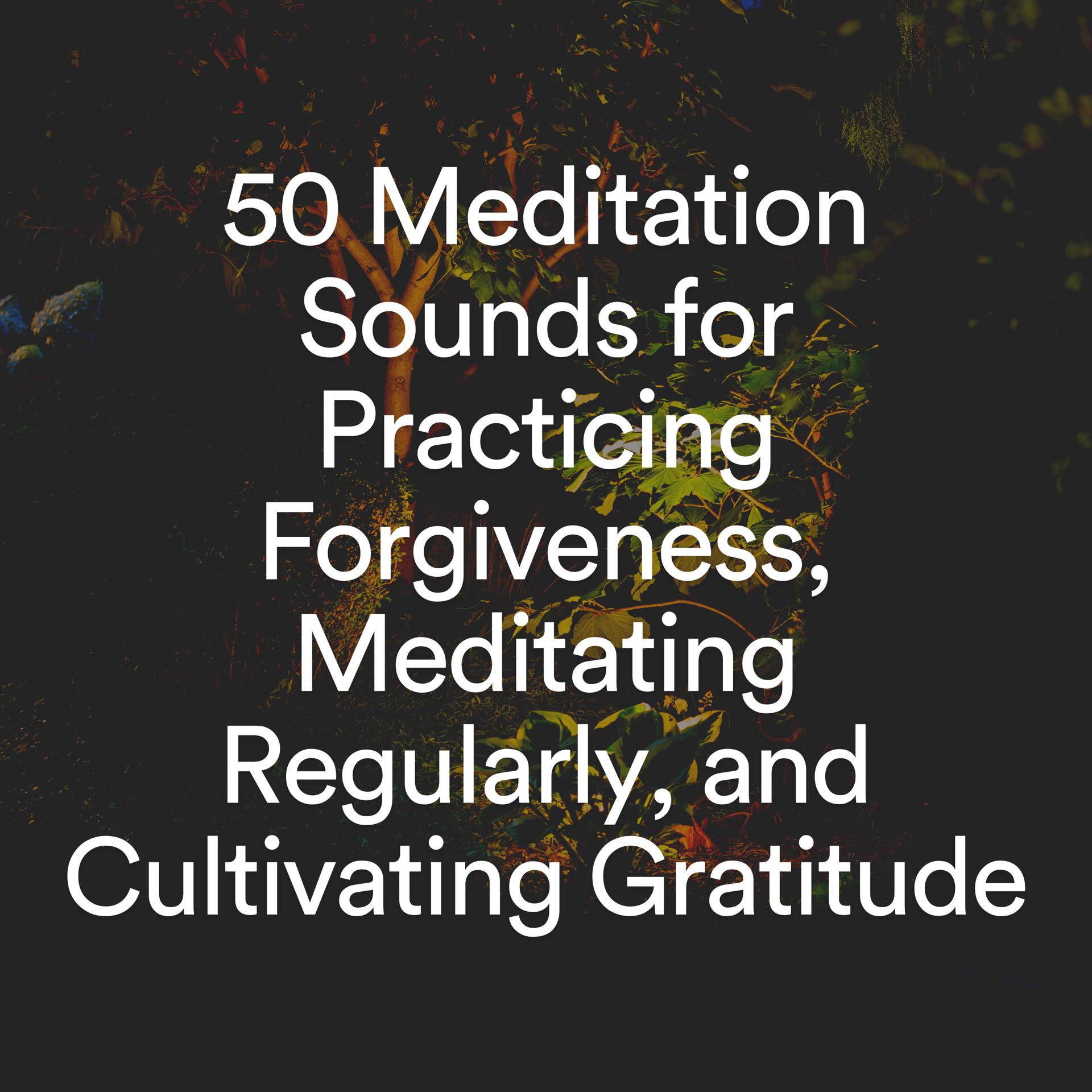 Постер альбома 50 Meditation Sounds for Practicing Forgiveness, Meditating Regularly, and Cultivating Gratitude