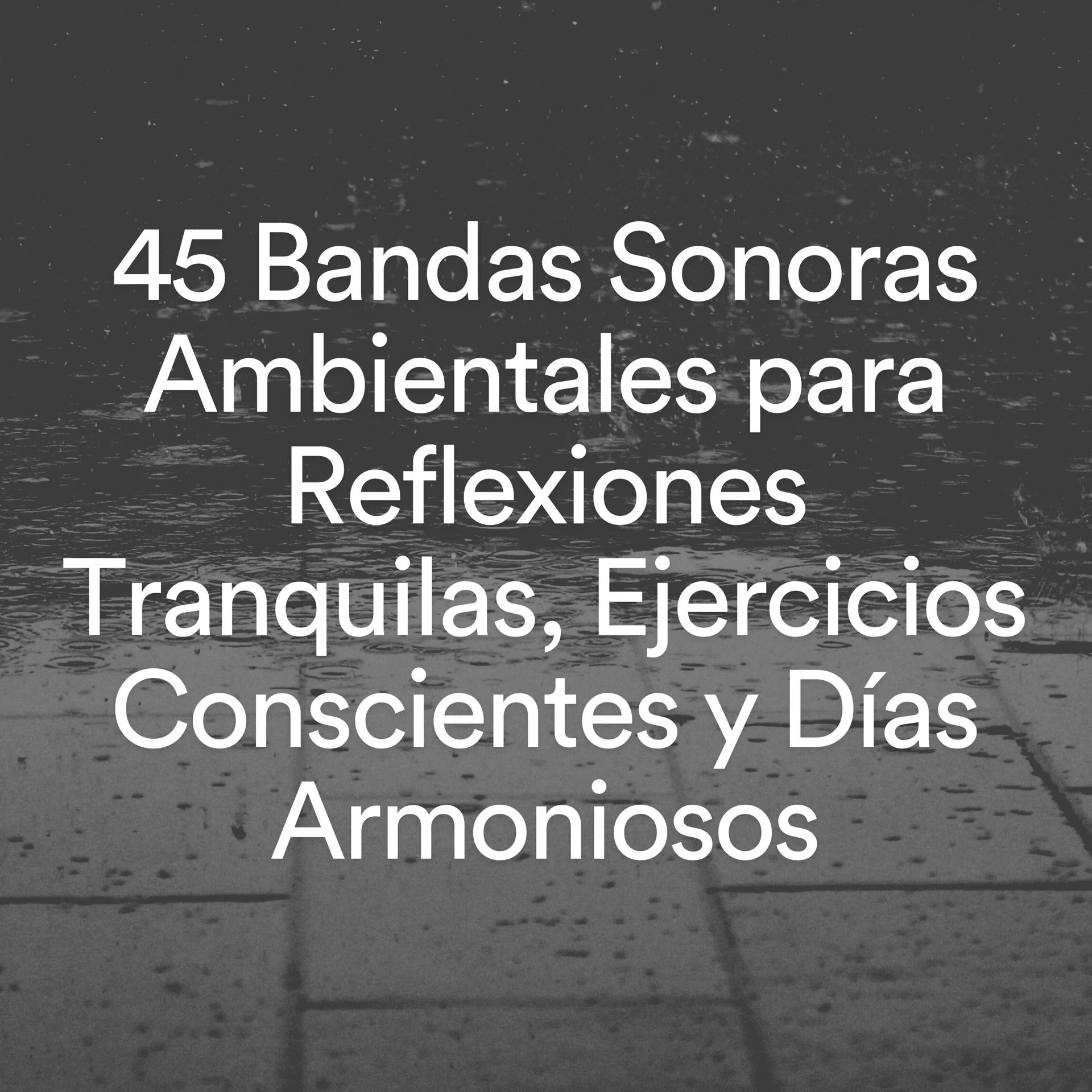 Постер альбома 45 Bandas Sonoras Ambientales para Reflexiones Tranquilas, Ejercicios Conscientes y Días Armoniosos
